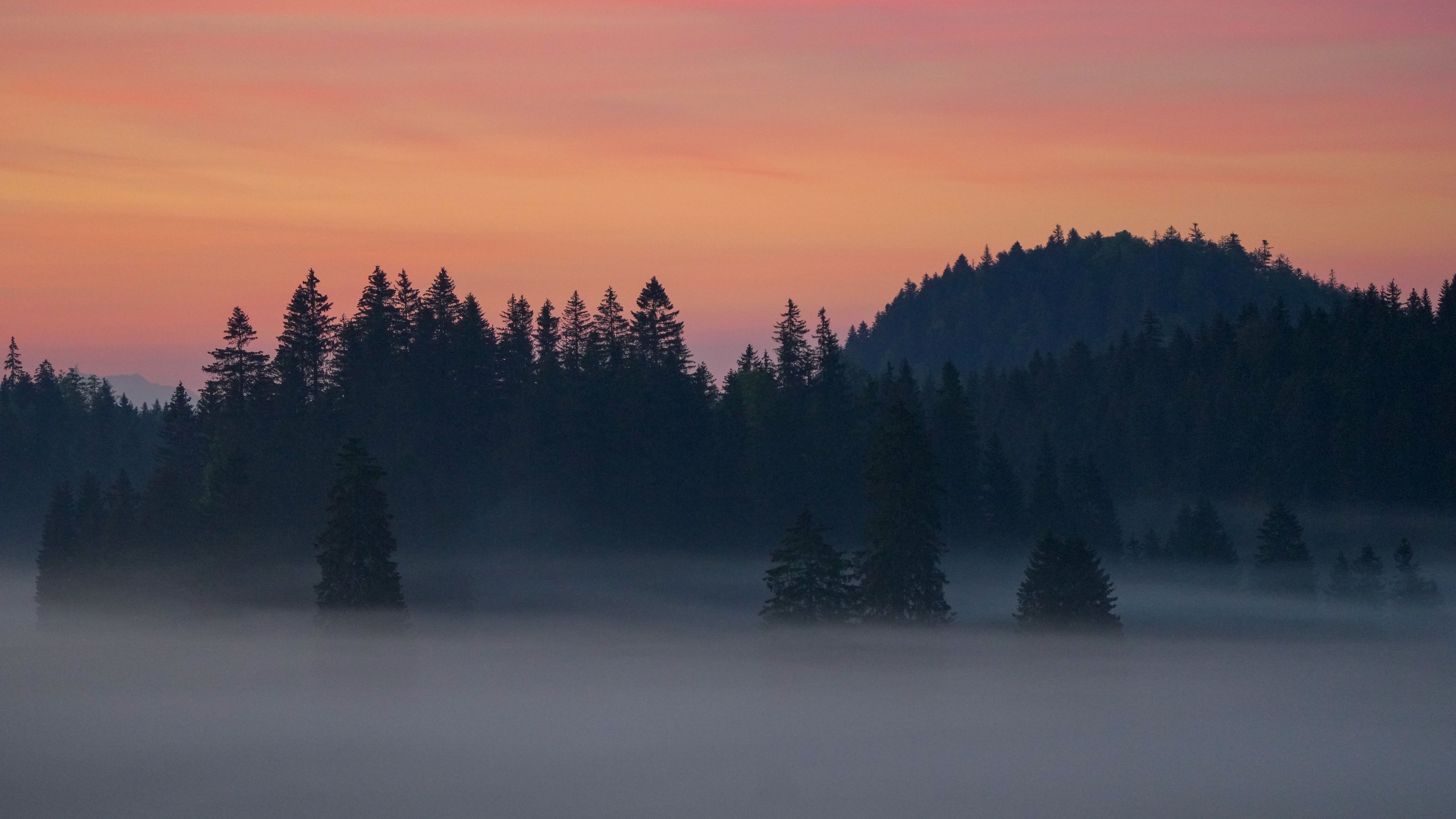 Download wallpaper 3840x2160 trees, silhouettes, mist, twilight 4k uhd 16:9 HD background