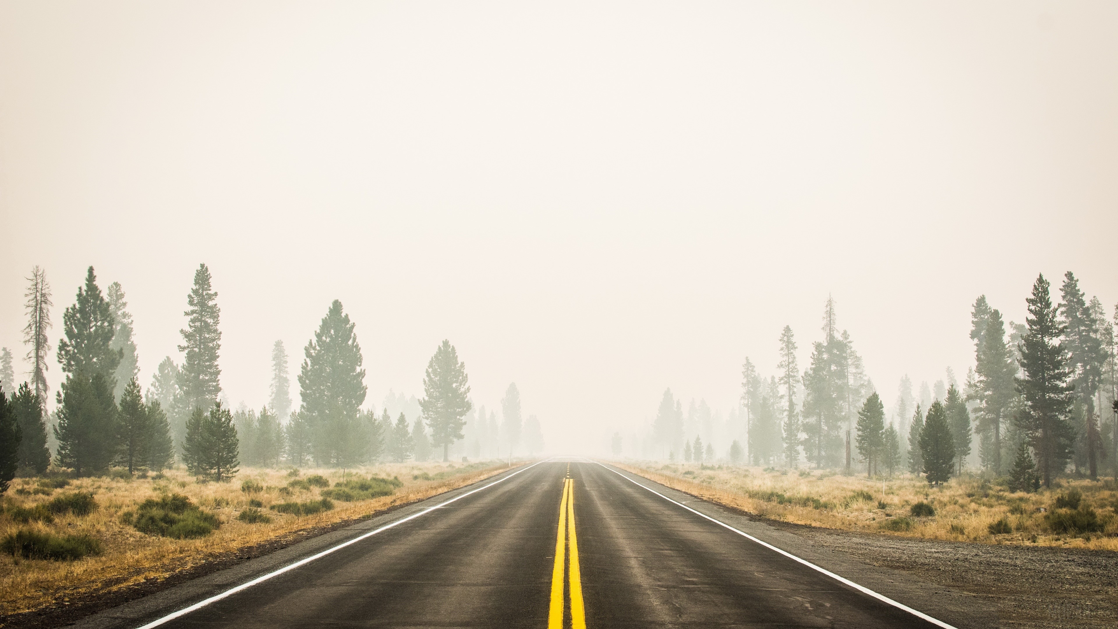 Fog, Road 4k Gallery HD Wallpaper