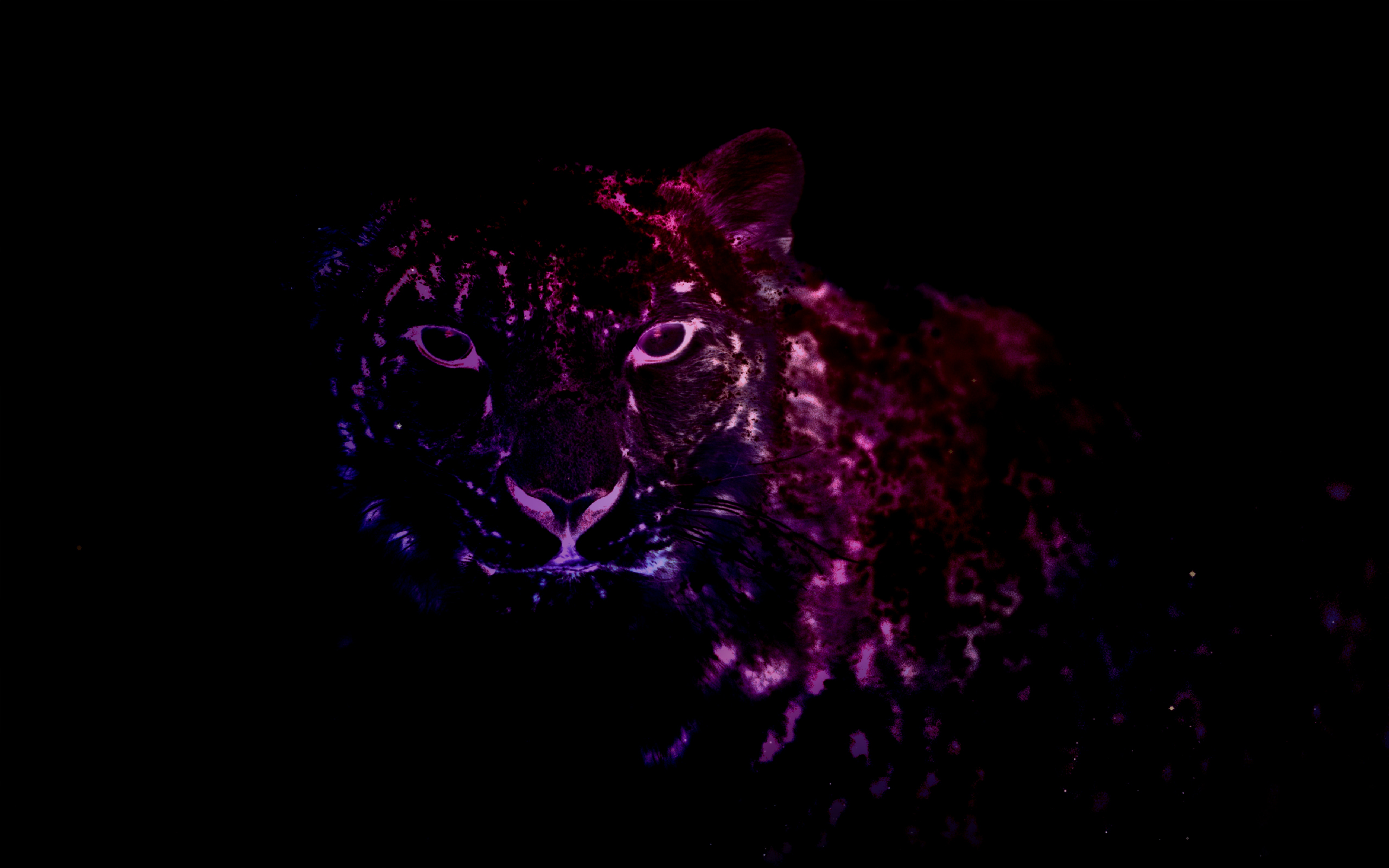 Free download Glowing Mac OS X 10 4K wallpaper [5120x3200] for your Desktop, Mobile & Tablet. Explore OS X 4K Wallpaper. Apple Os X Wallpaper, Mac Os X Background