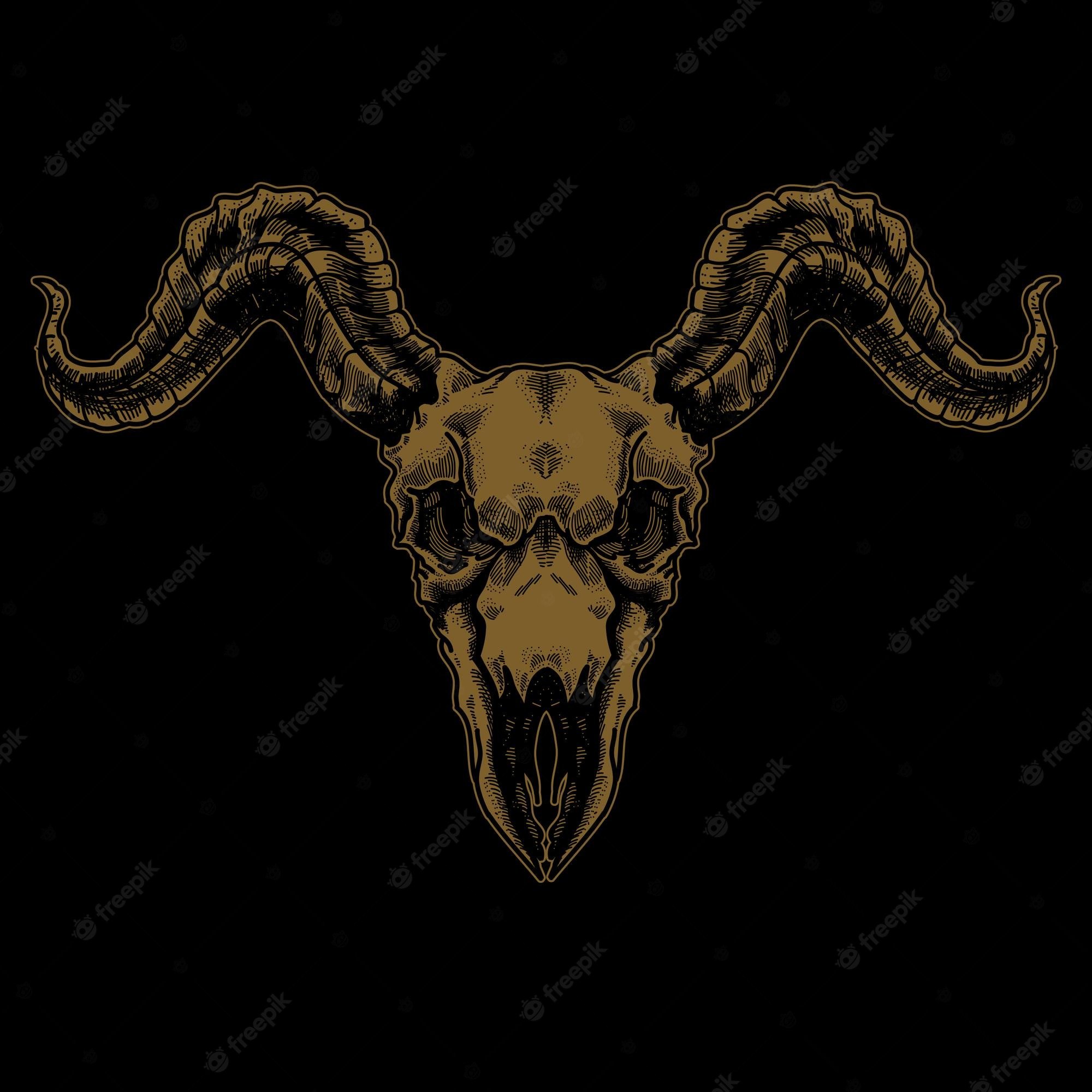 Ram Skull Image
