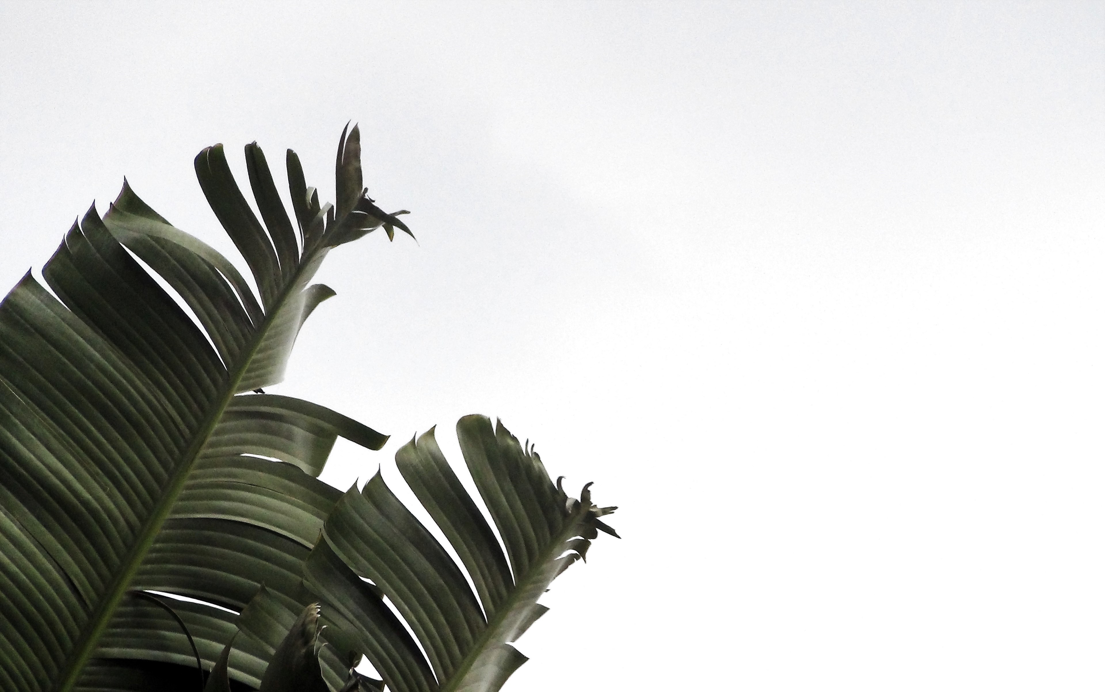 philippine 4k HD Wallpaper