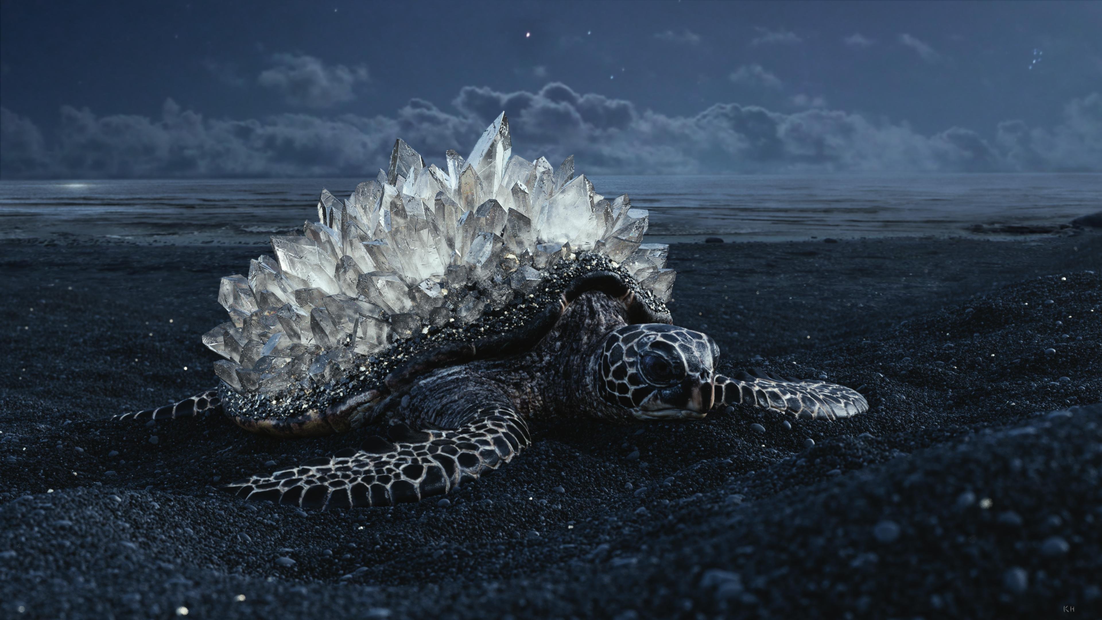 Crystal Turtle 4K wallpaper