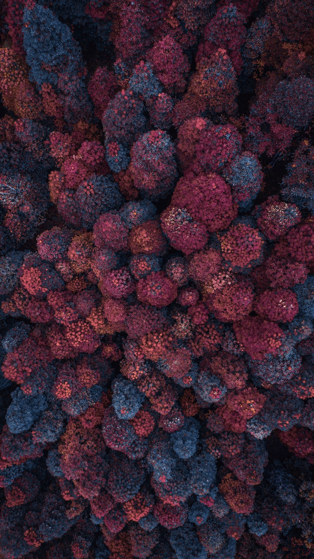 Abstract Mobile best free abstract, wallpaper, background and color photo