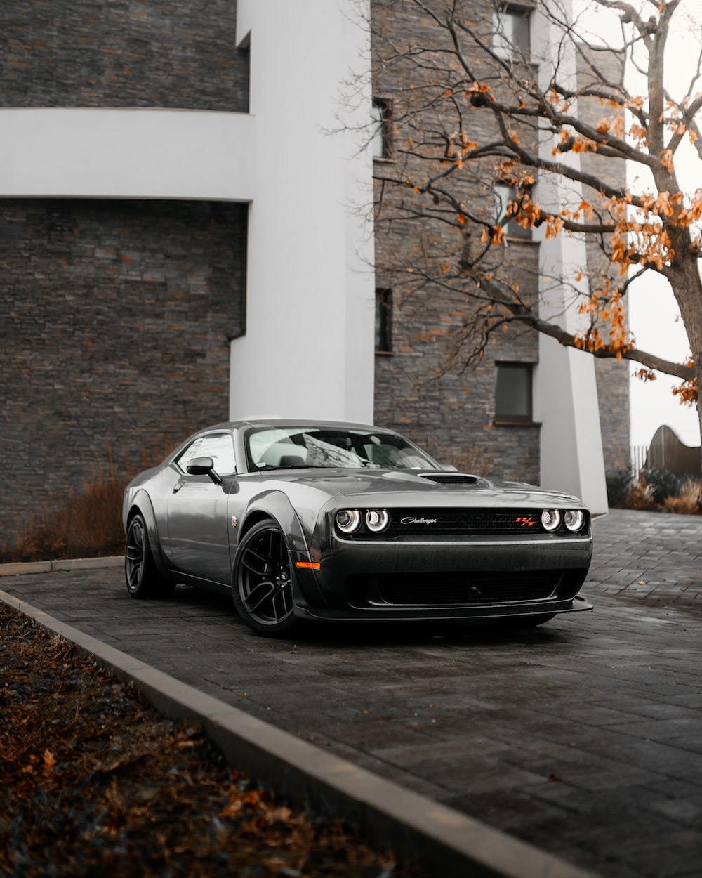 Muscle Car Picture. Download Free Image