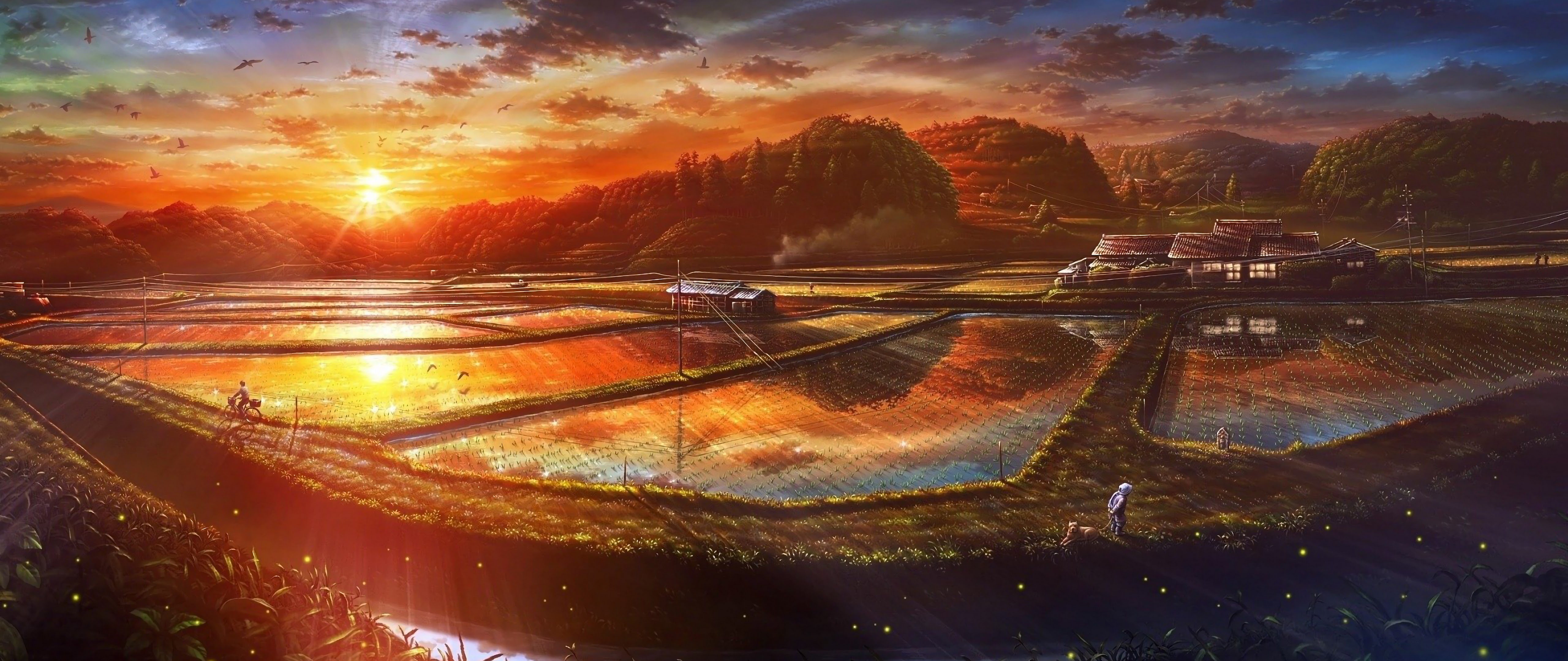 Sunset Paddy Field Nature Scenery Landscape Anime 4K Wallpaper
