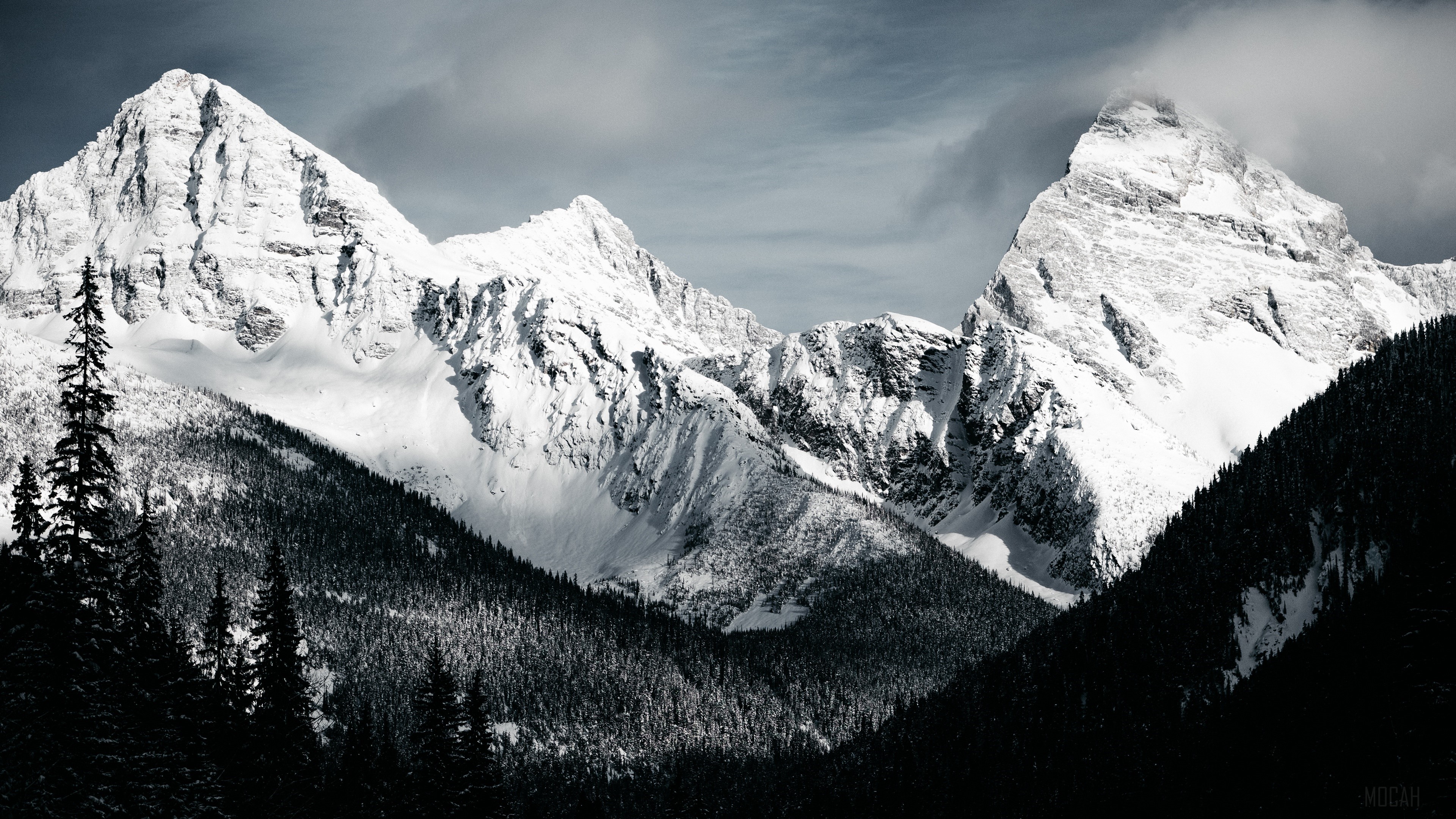 Black and White, Forest, Mountain, Nature, Peak, Snow 4k Gallery HD Wallpaper