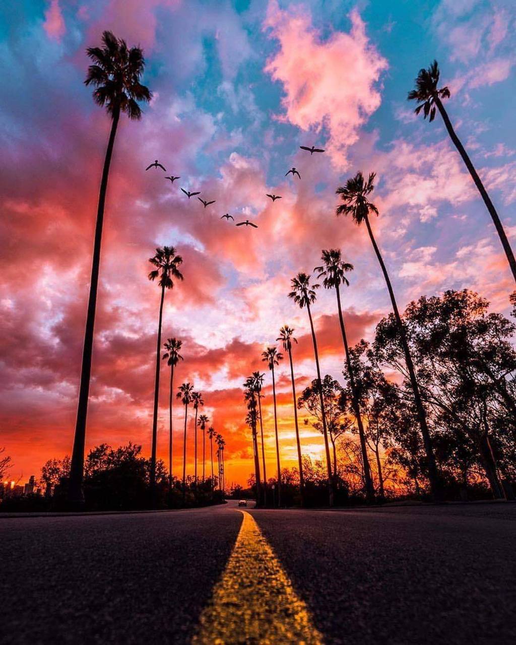 Road and Sunset Wallpaper