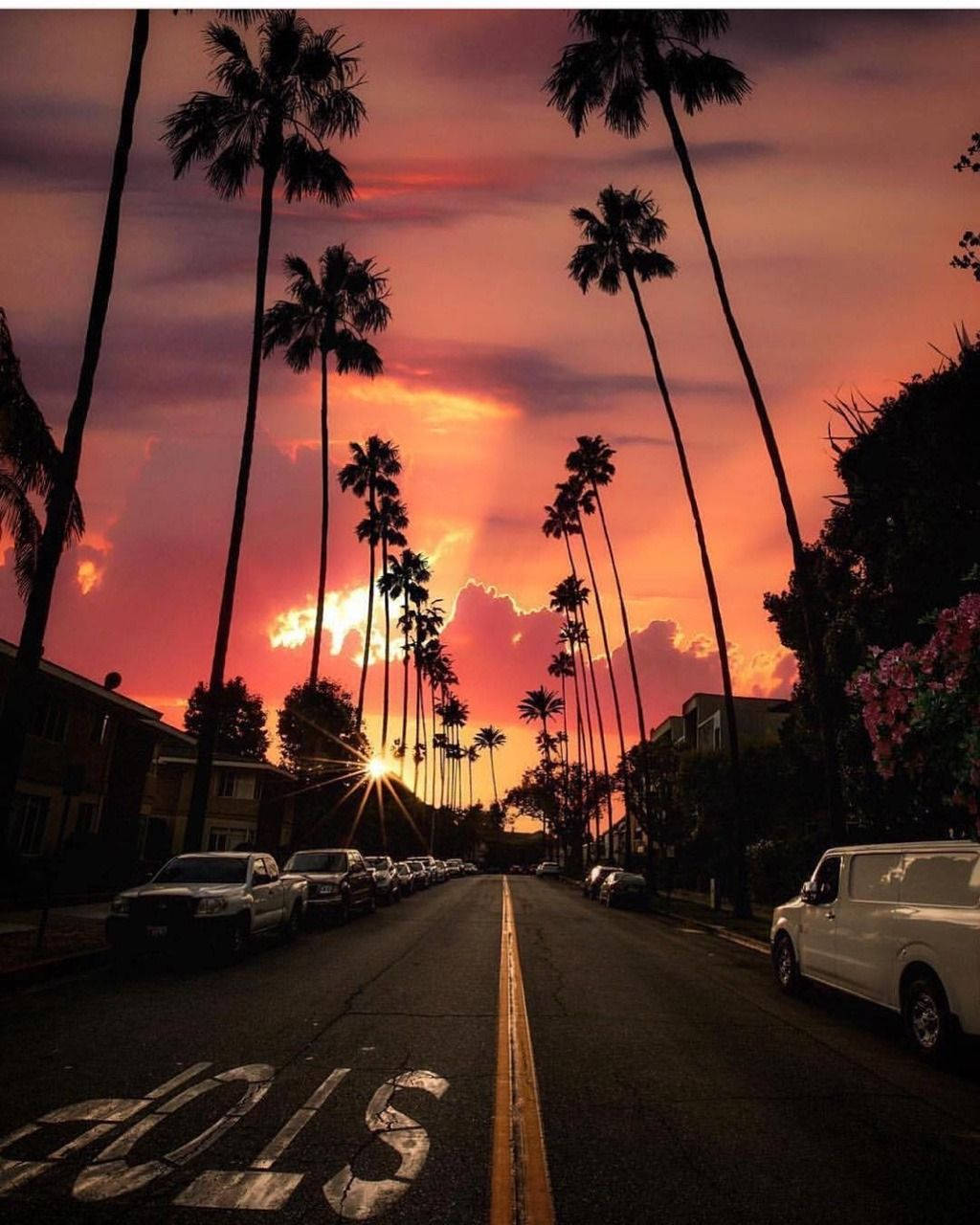 Download Hollywood Street Sunset Wallpaper