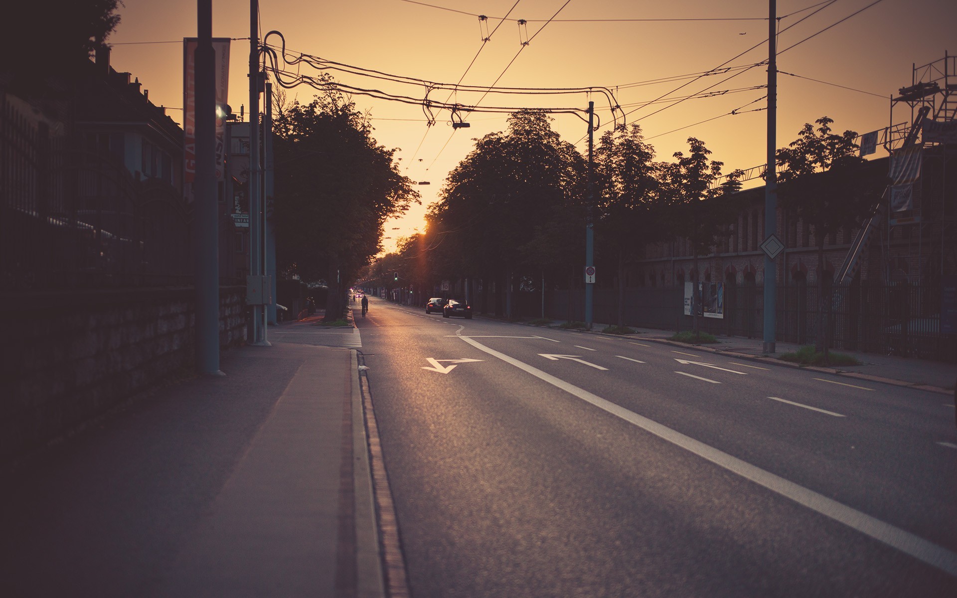 city, photography, street, sunset, cityscape, road, trees, urban, sunlight Gallery HD Wallpaper
