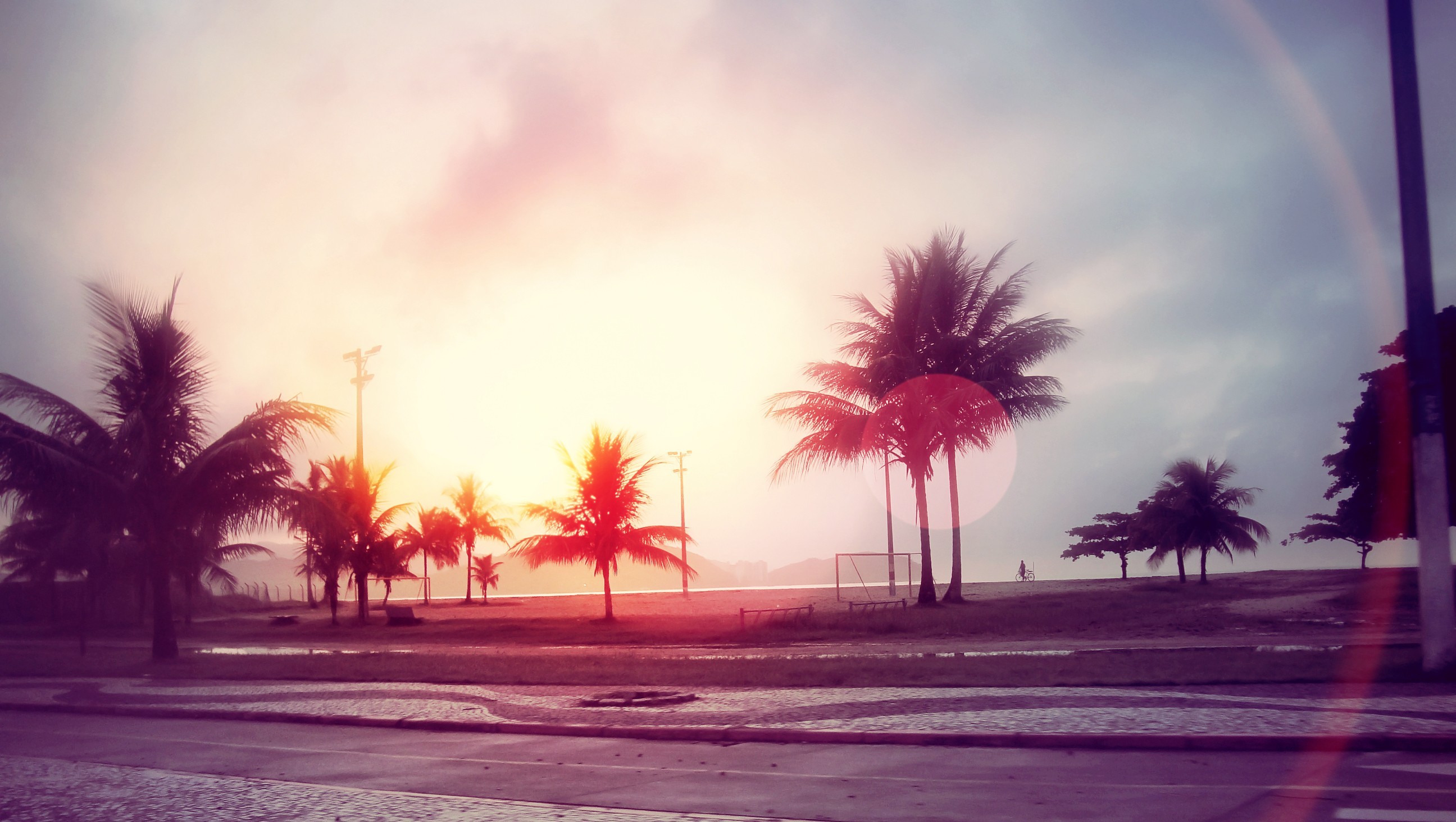 Wallpaper, sunlight, sunset, street, night, sky, beach, sunrise, evening, morning, palm trees, Sun, filter, horizon, dusk, color, cloud, tree, dawn, atmospheric phenomenon, arecales 2592x1464