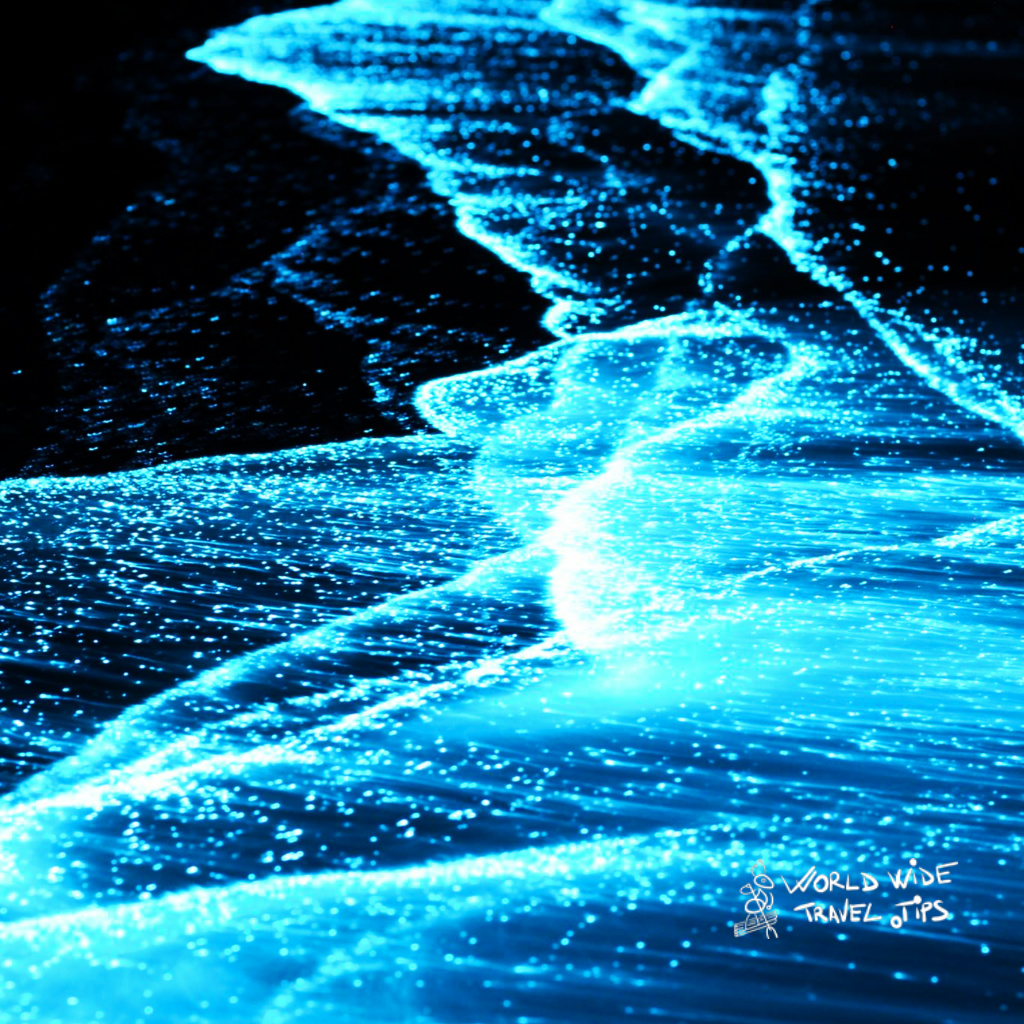 Sea of stars Maldives: all you need to know about it