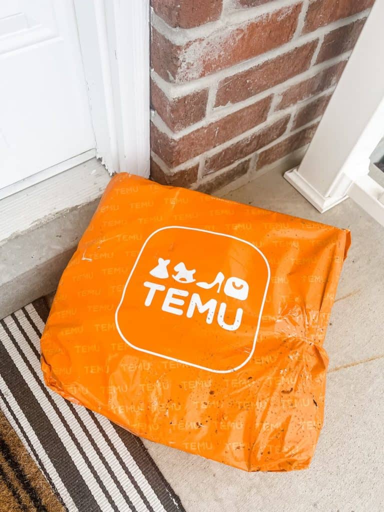 Temu Review: Is Temu Legit? (+ Real Product Picture)