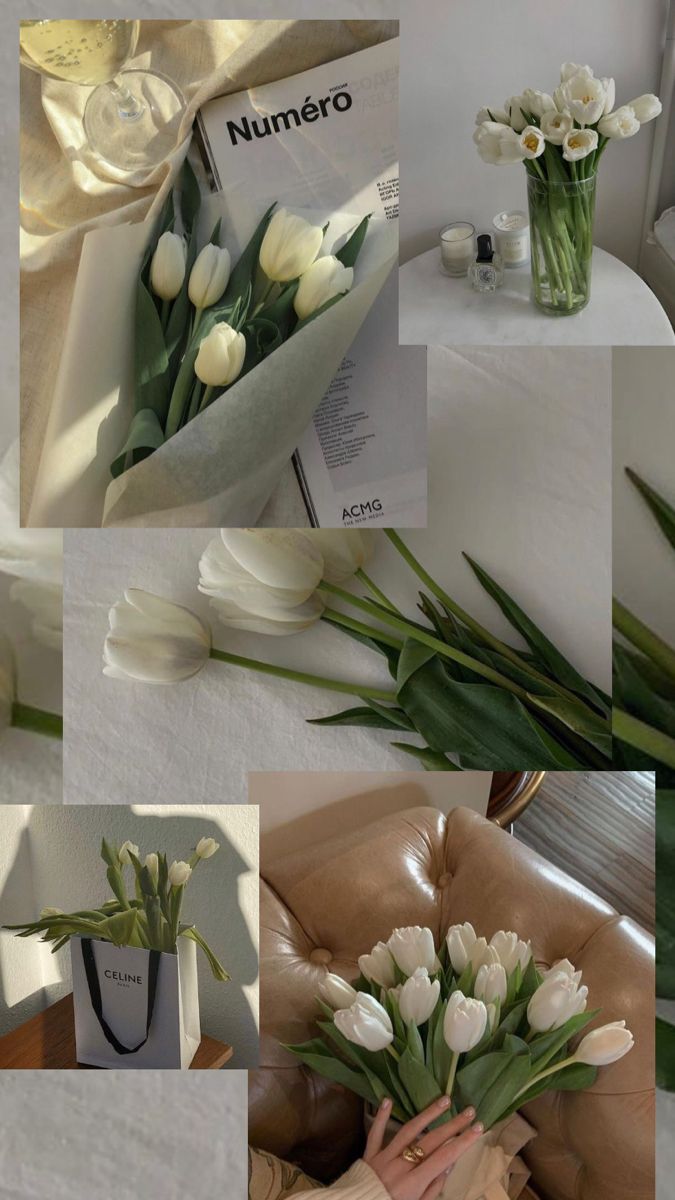 White tulips wallpaper aesthetic