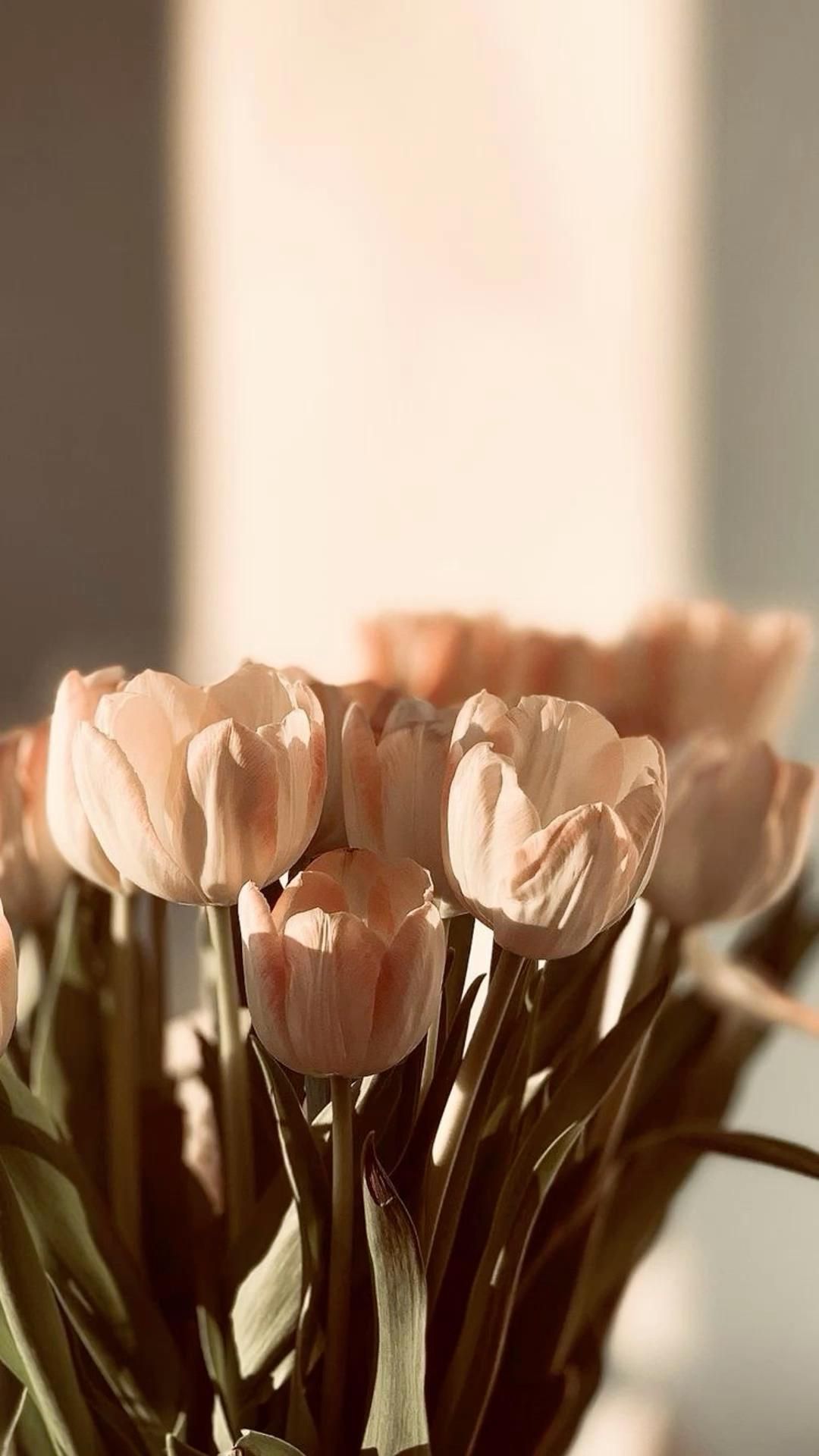 Ваши пины. Flower phone wallpaper, Flower aesthetic, Aesthetic iphone wallpaper