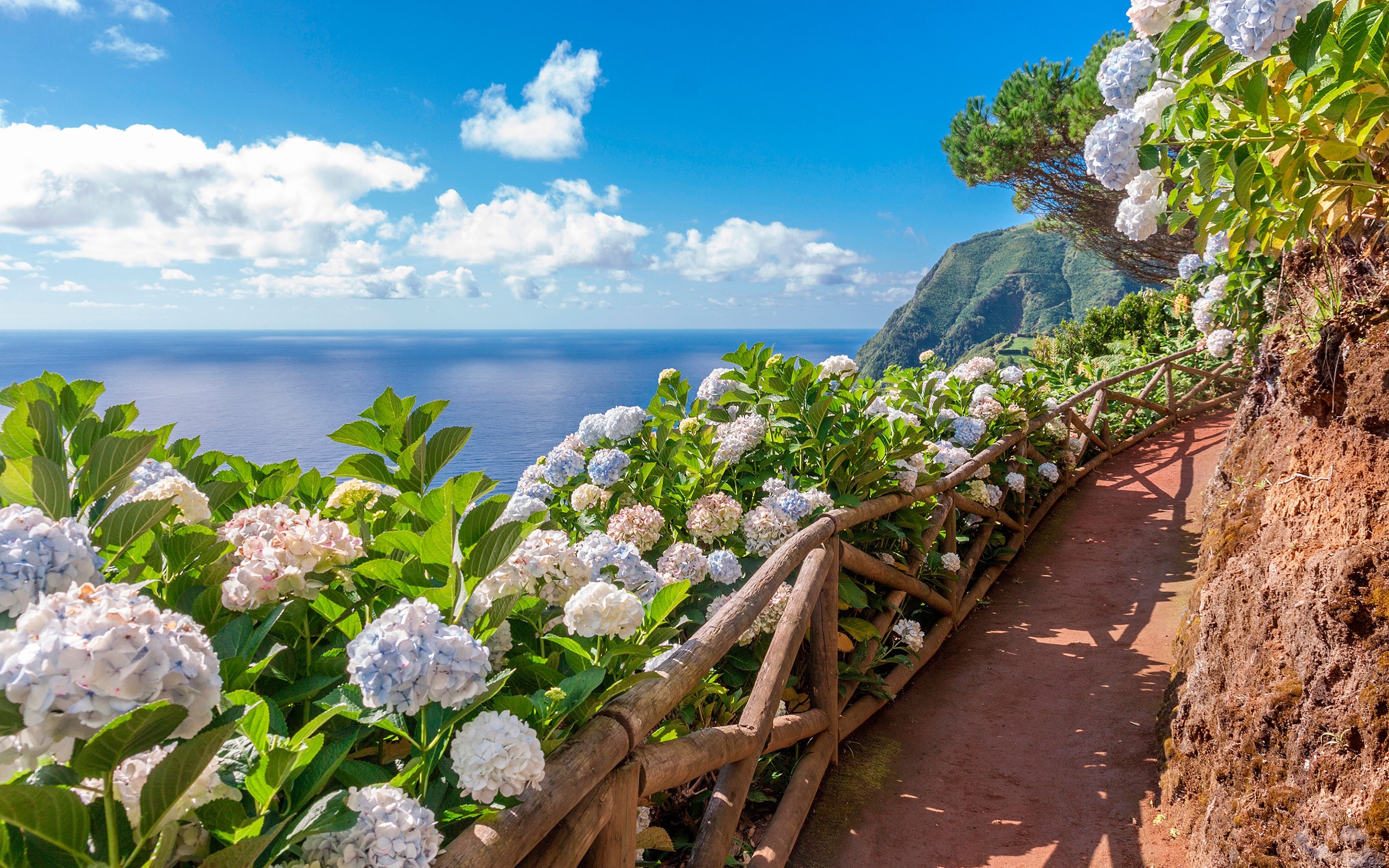 Wallpaper Azores, Sao Miguel, Flowers, Footpath, Sea 2880x1800 HD Picture, Image