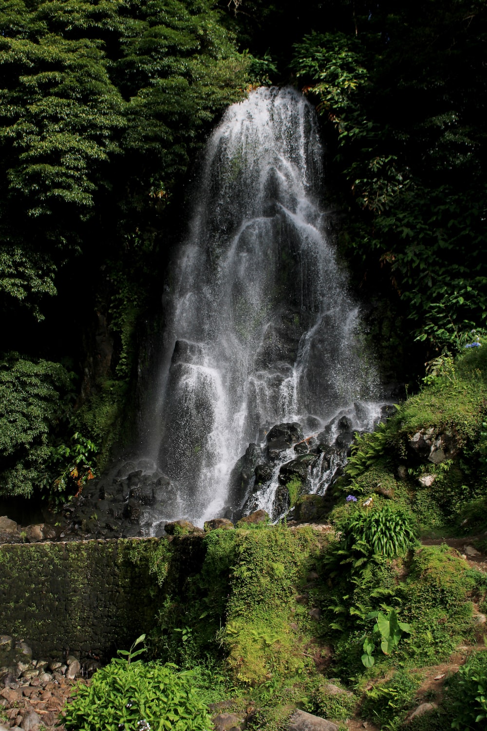 Azores Islands Picture. Download Free Image