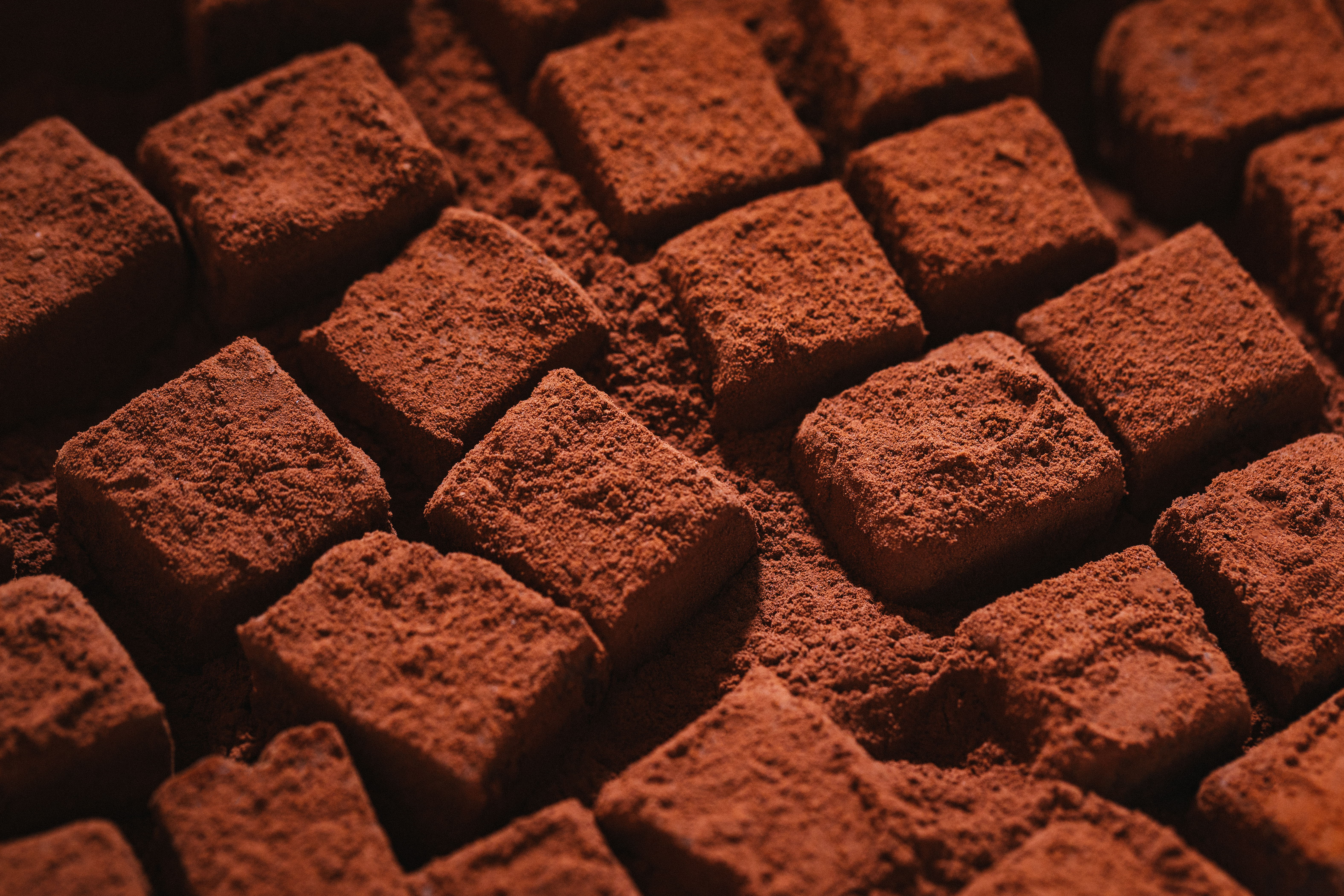 Free Image, food, chocolate brownie, fudge, dessert, brick, cuisine, dish, toffee 6302x4201