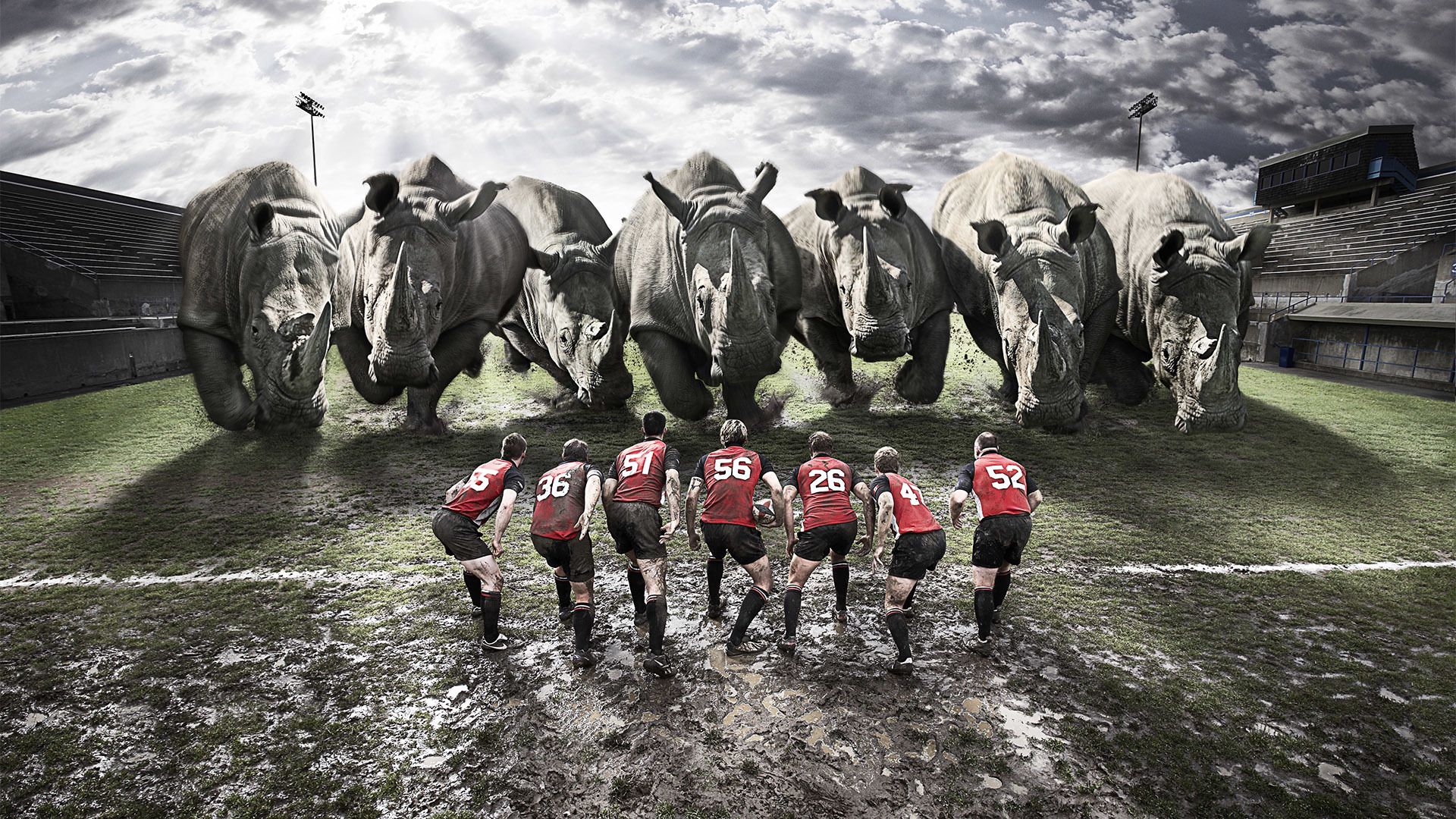 Download wallpaper 1920x1080 rugby, team, rhinos, dirt, field HD background