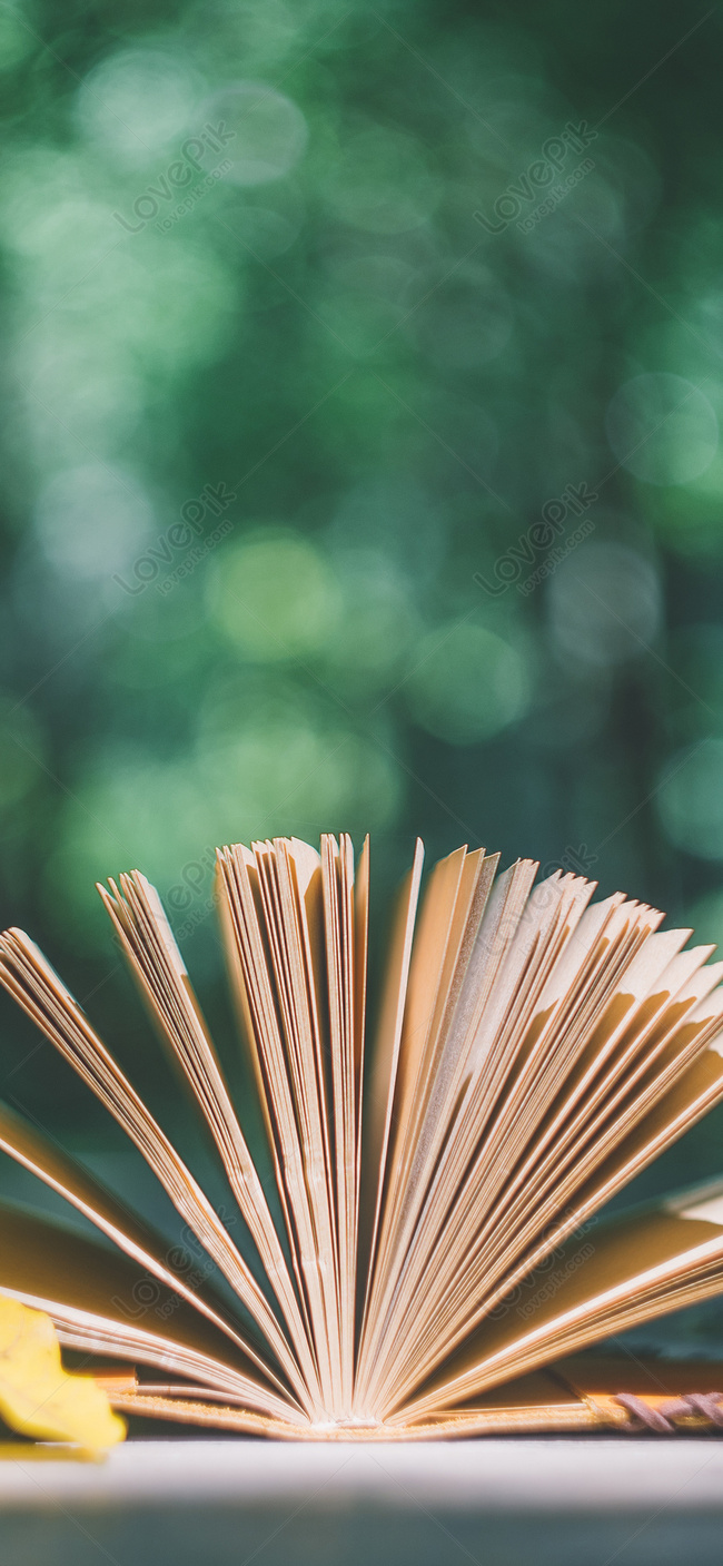 Book Wallpaper Image, HD Picture For Free Vectors Download