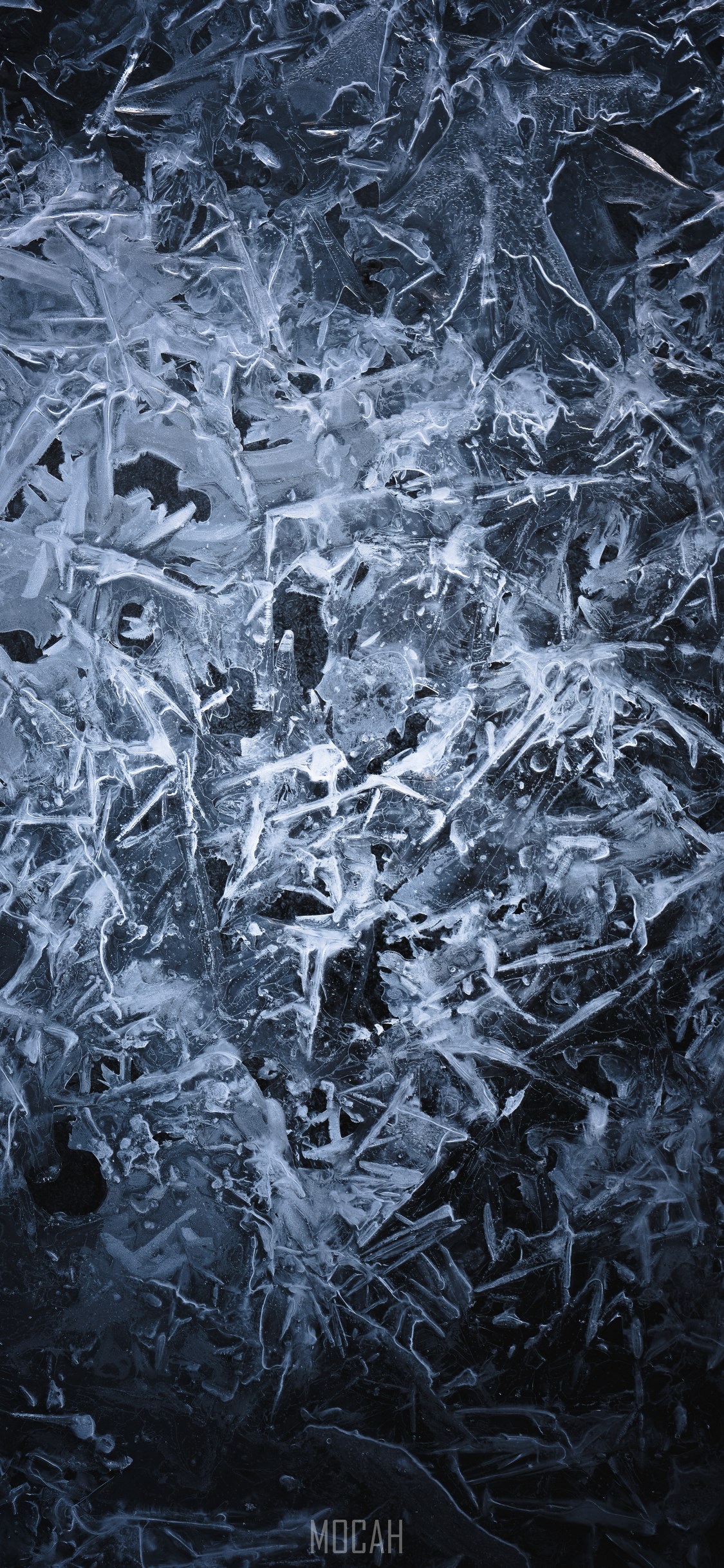 Black, Ice, Freezing, Frost, Black and White, Apple iPhone XS screensaver hd, 1125x2436 Gallery HD Wallpaper