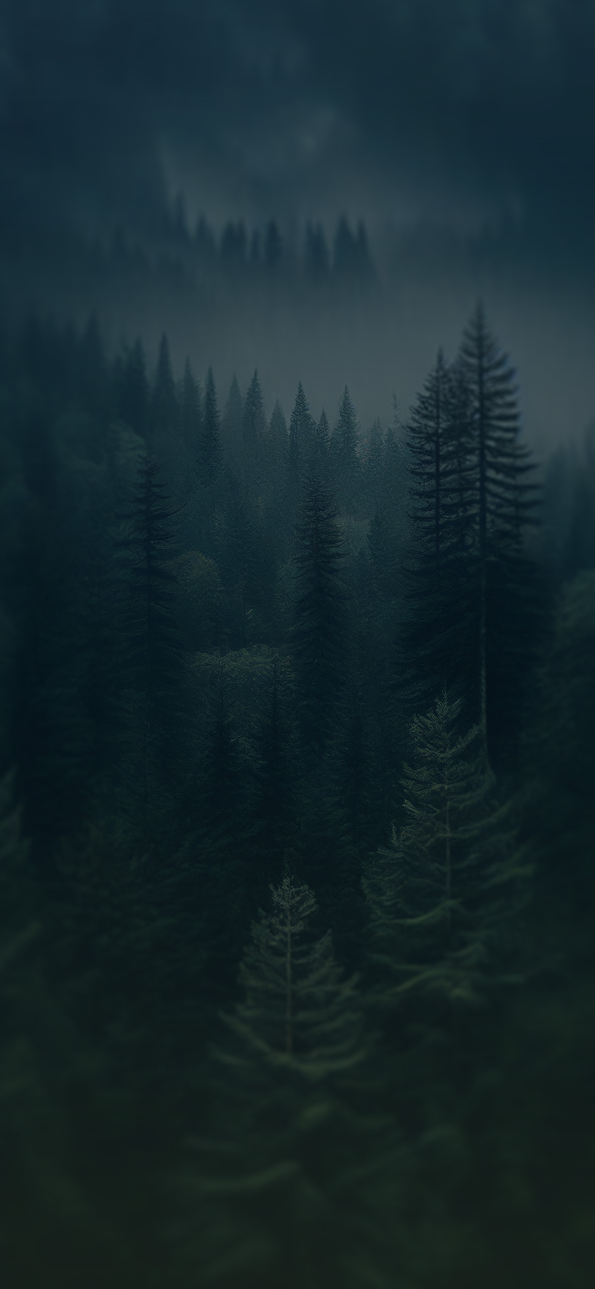 Coniferous Forest Aesthetic Wallpaper Forest Wallpaper