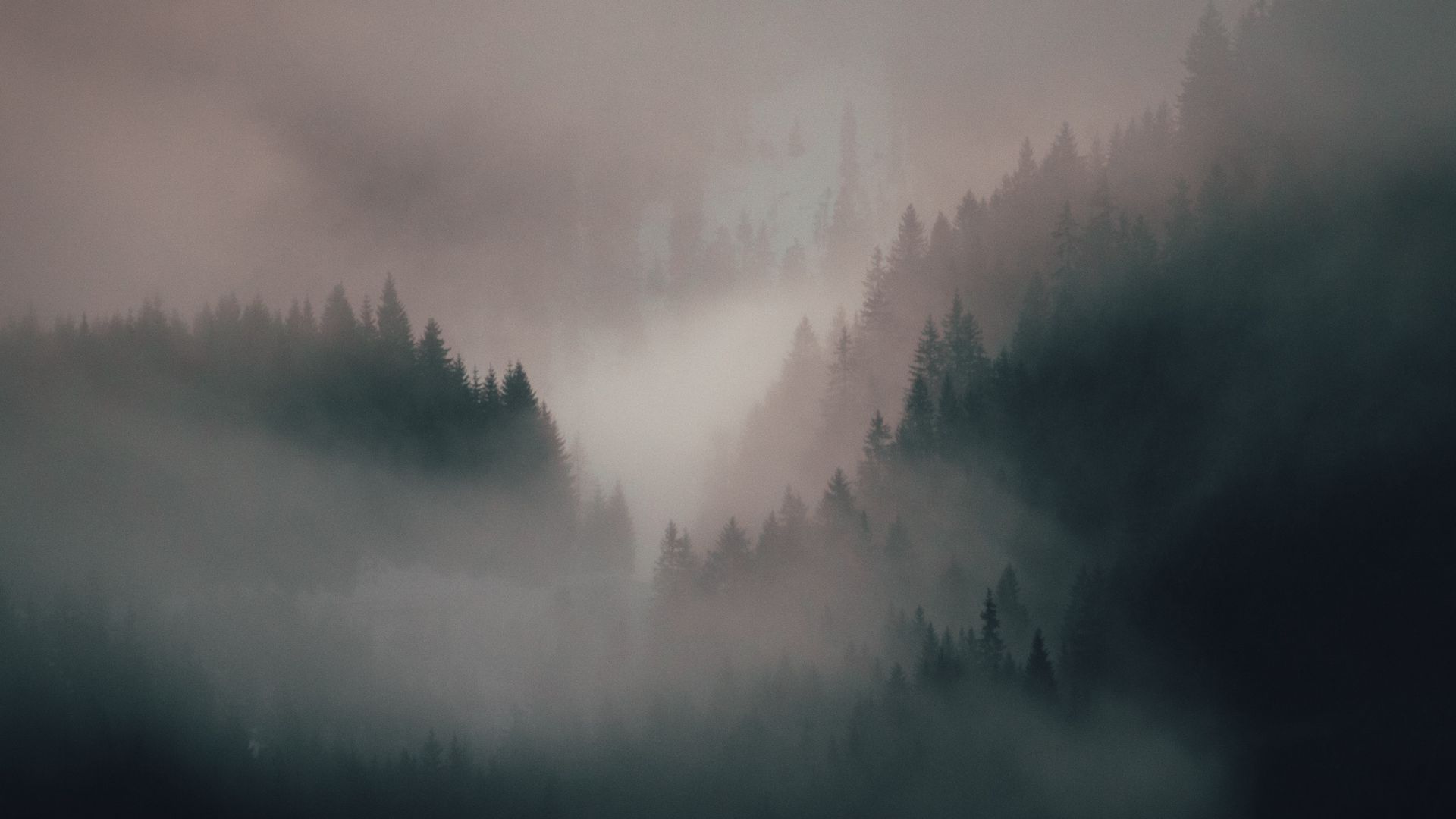 Download wallpaper 1920x1080 fog, forest, trees, hills full hd, hdtv, fhd, 1080p HD background