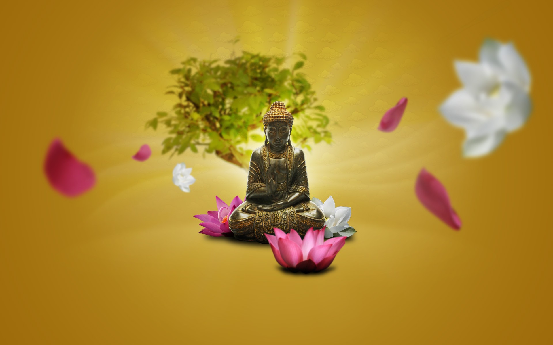 Zen Buddha Meditation Lotus Flowers Wallpaper:1920x1200