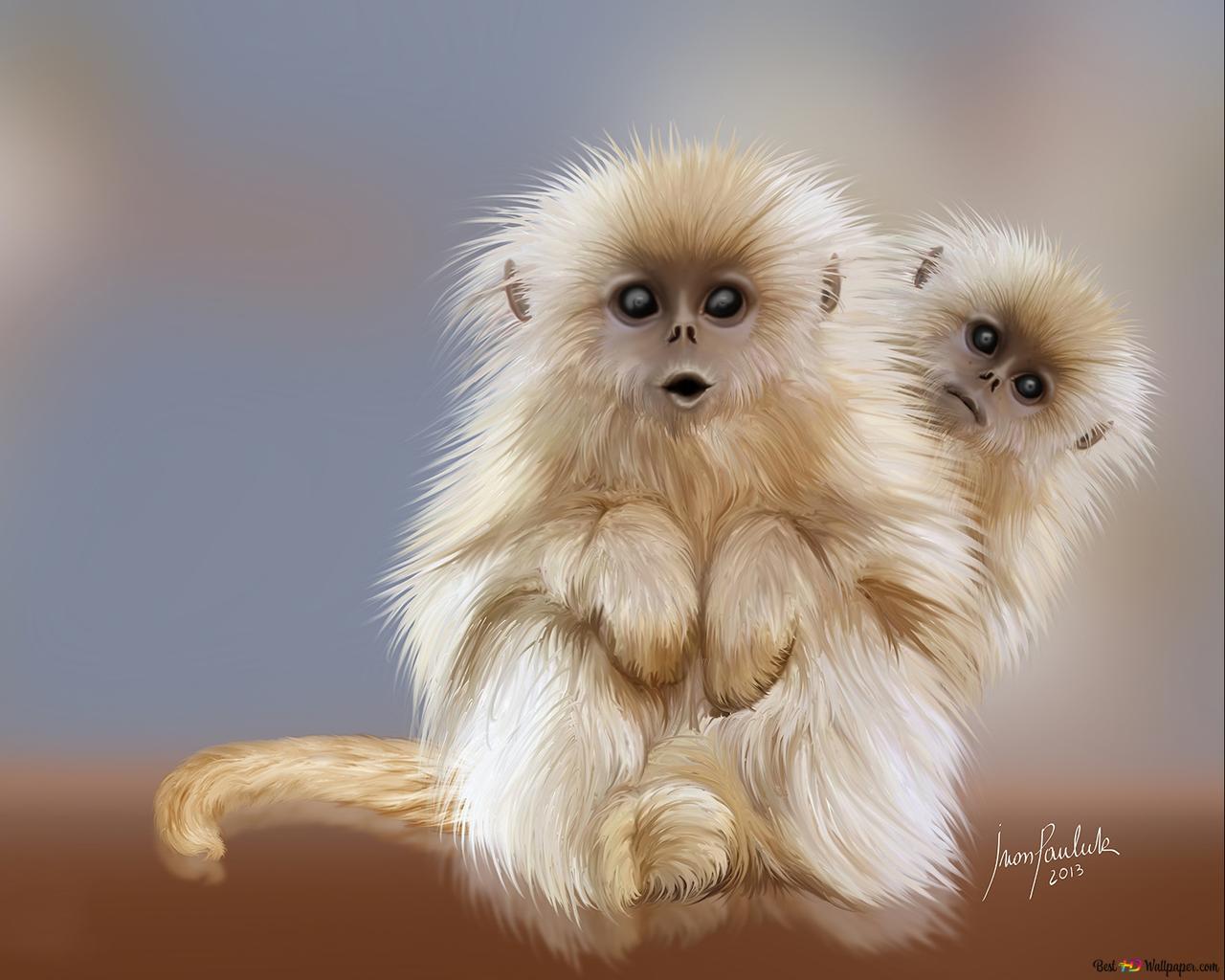 Golden Snub Nosed Monkeys HD Wallpaper Download