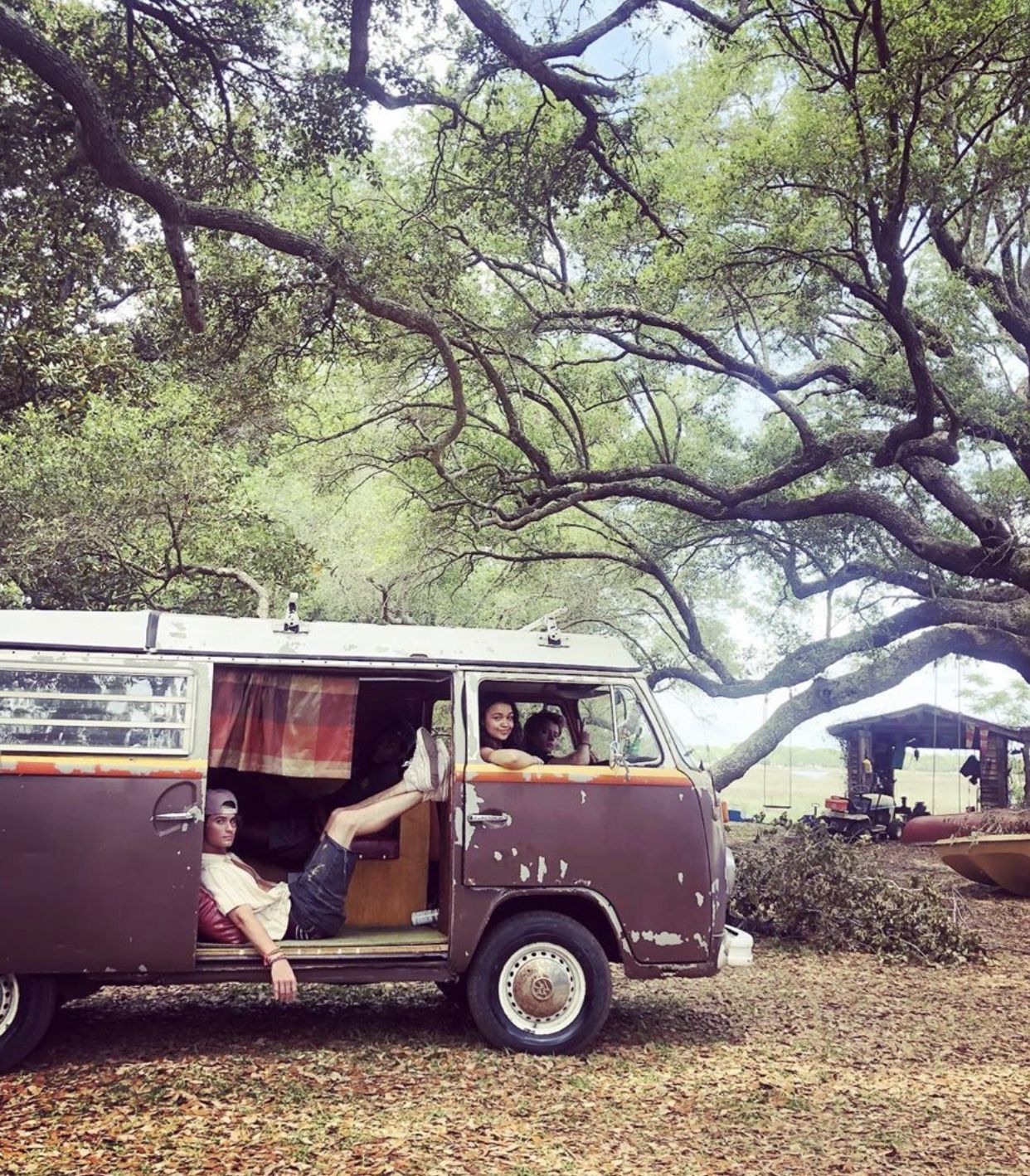 The Twinkie. Banks life, Outer, Outer banks