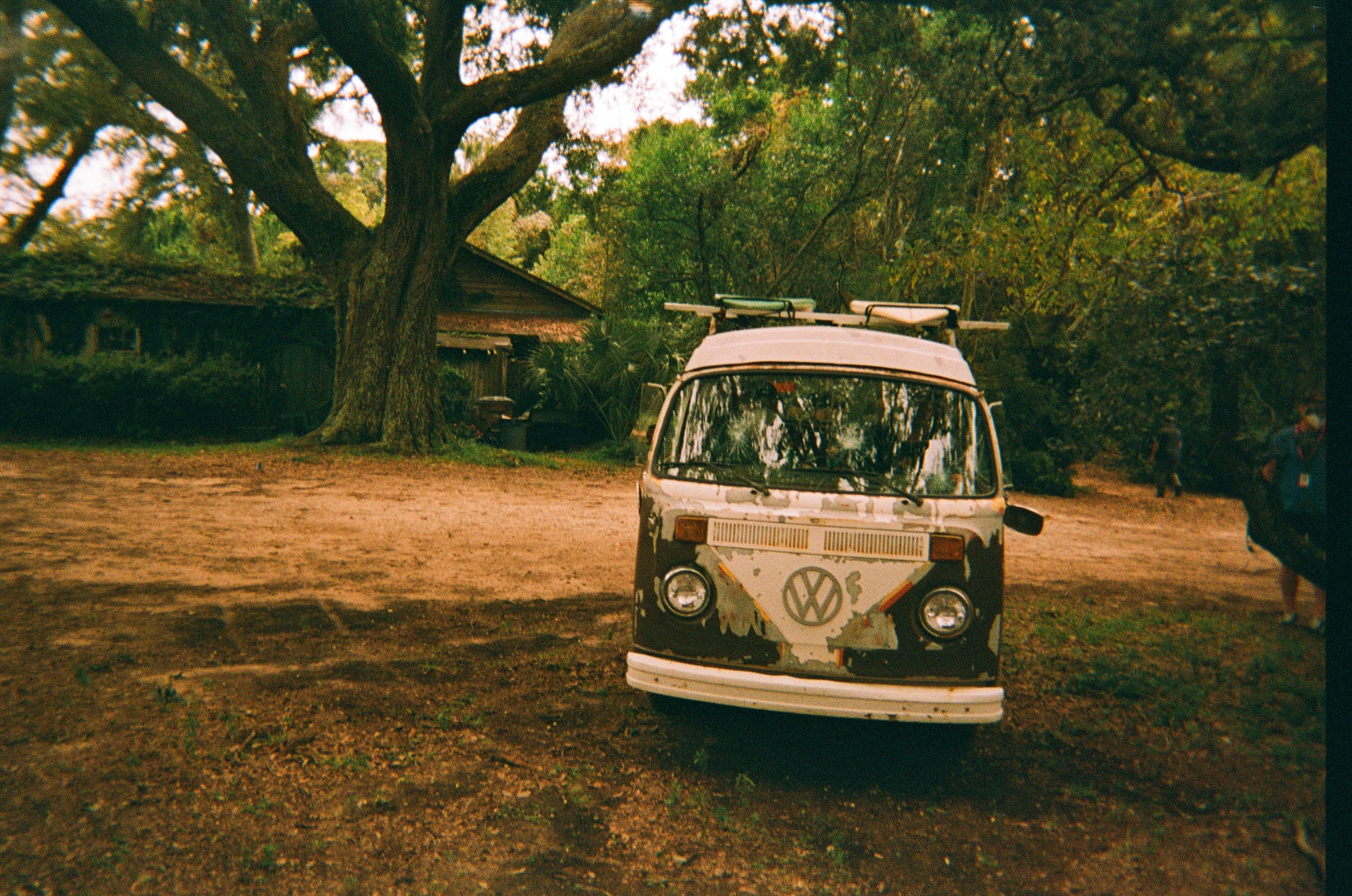 obxnetflix twinkie in her natural habitat