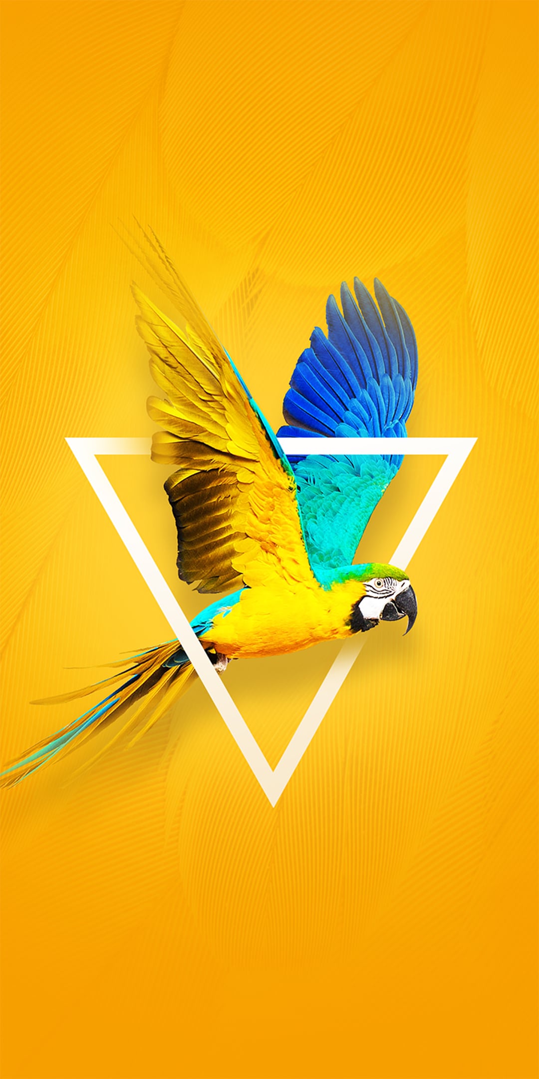 Download Tecno Camon X Wallpaper