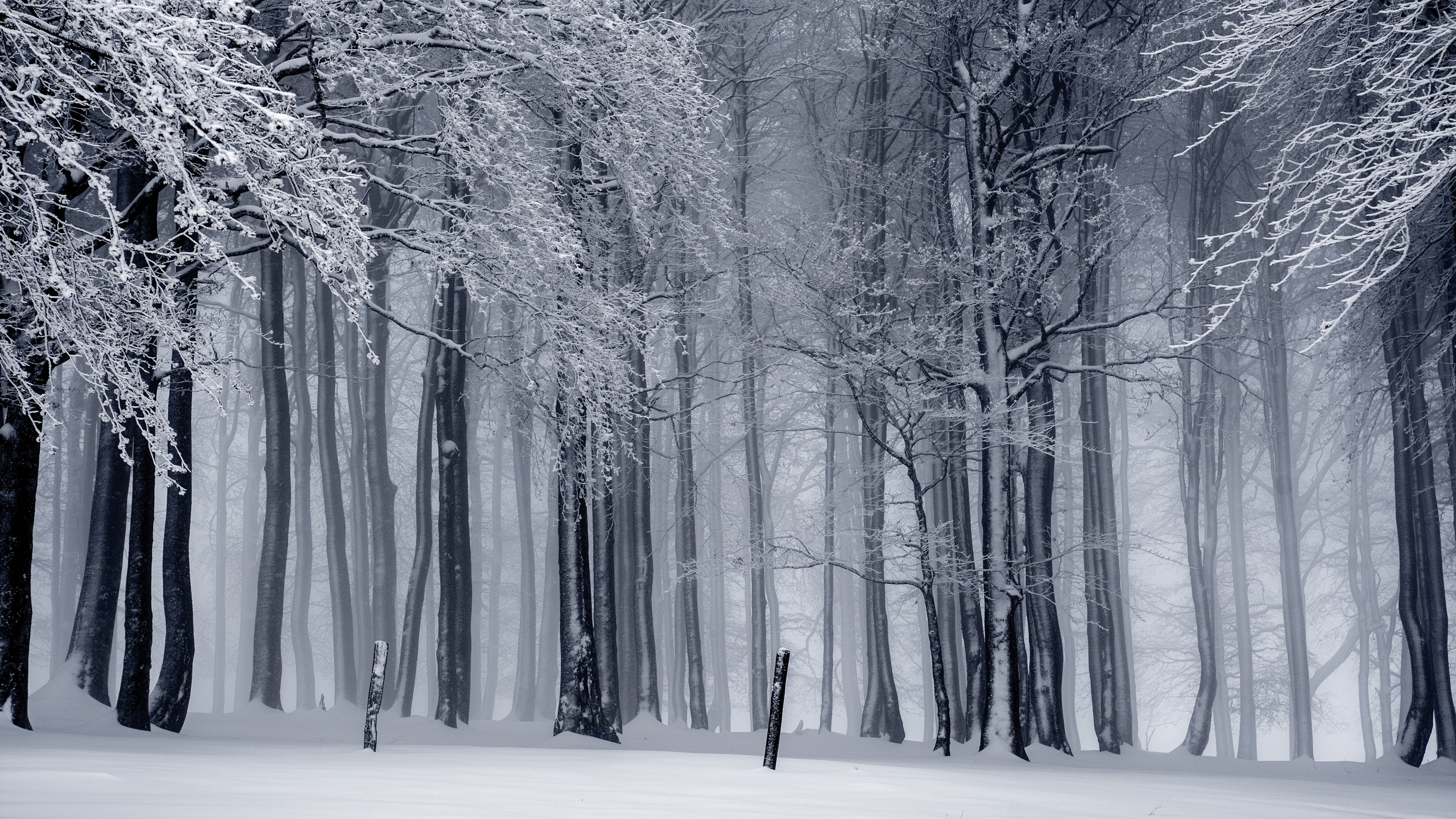 4K Winter Wallpaper for Desktop, iPad & iPhone