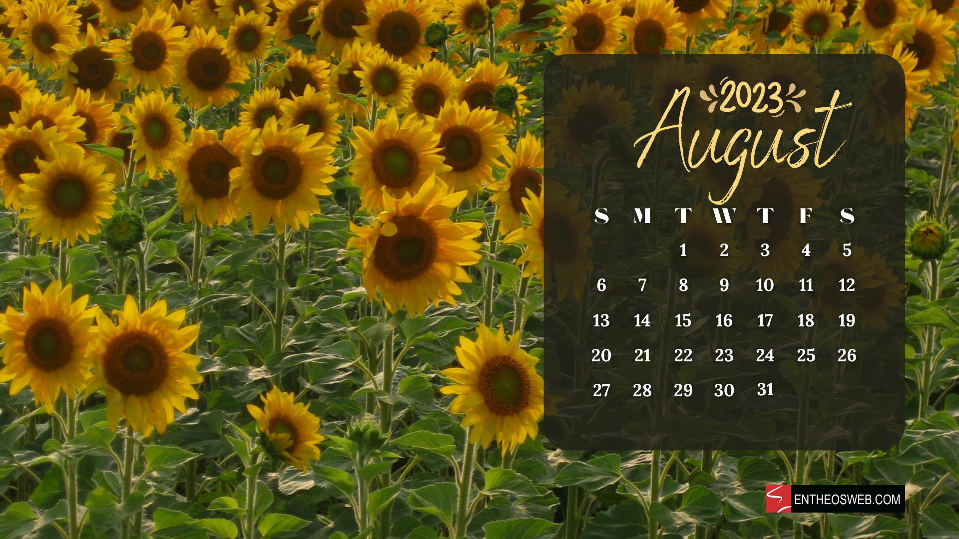 August 2023 Calendar Desktop Wallpaper