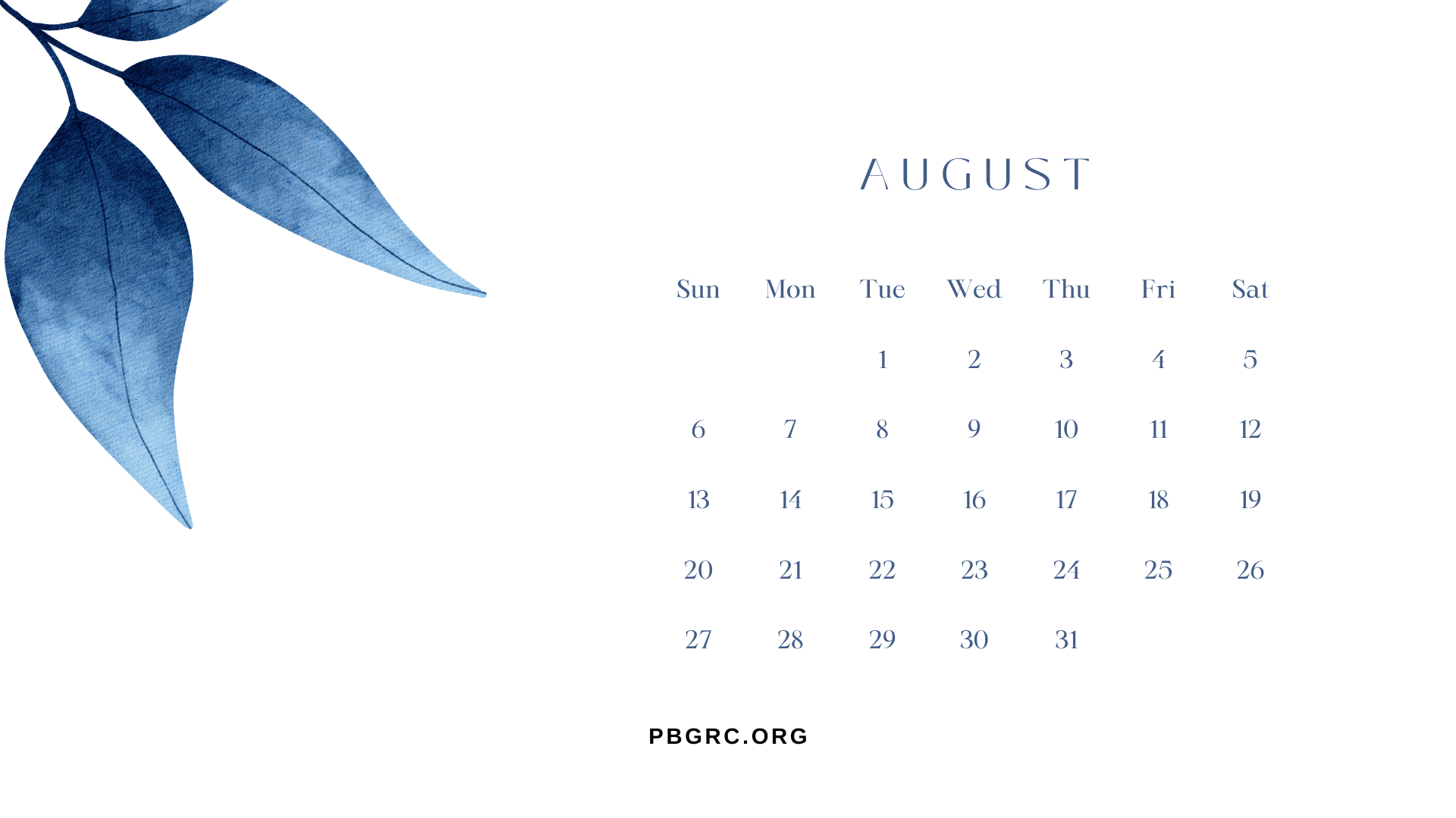 Cute August 2023 Floral Calendar Wallpaper