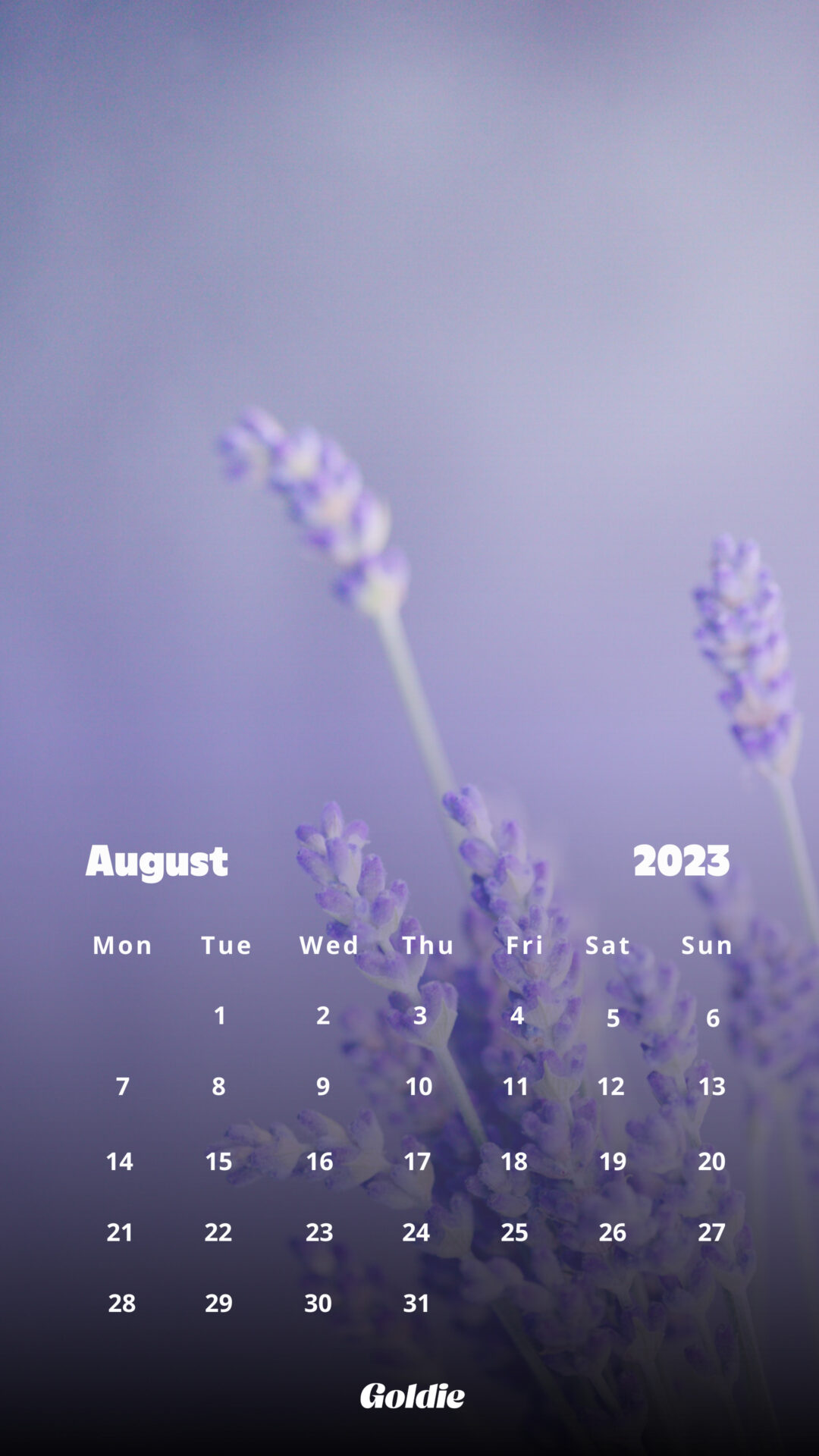 Free August 2023 Calendar Wallpaper