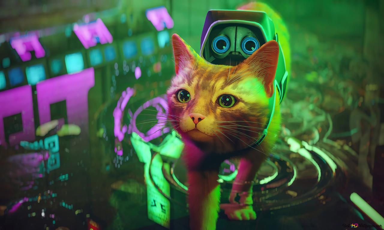 Cat from Stray video game 4K wallpaper download