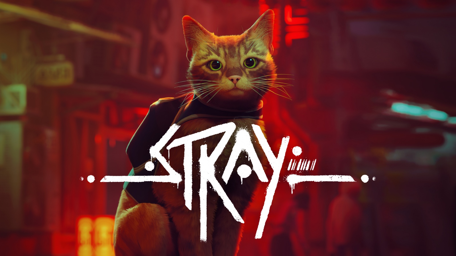 Stray Wallpaper 4K, cat, PC Games, PlayStation 4
