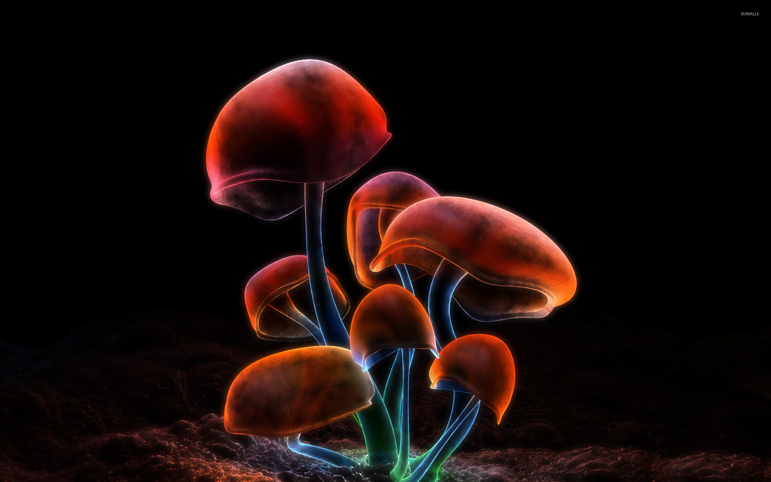 Infected Mushroom Wallpaper