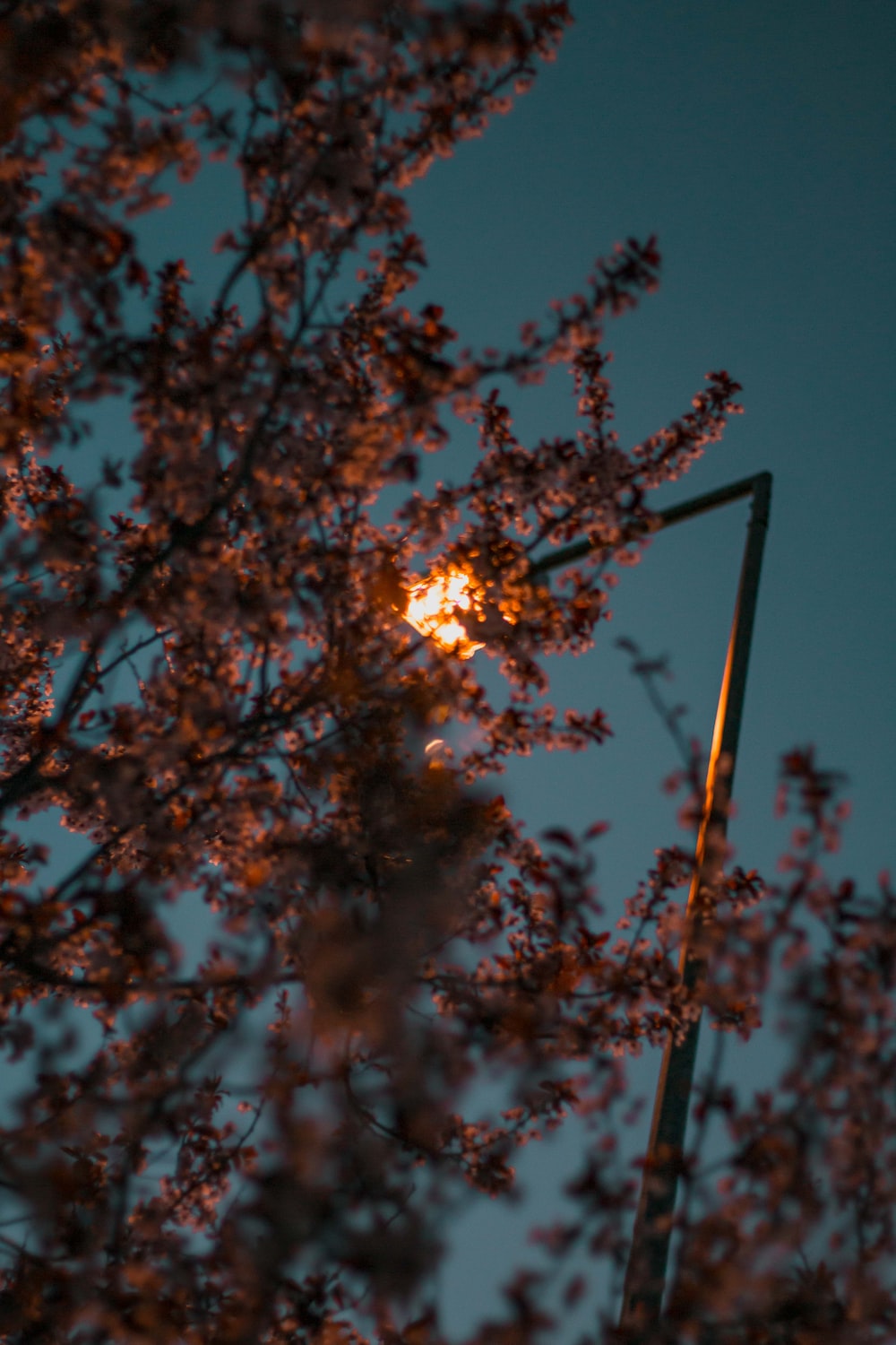 Aesthetic Night Picture. Download Free Image
