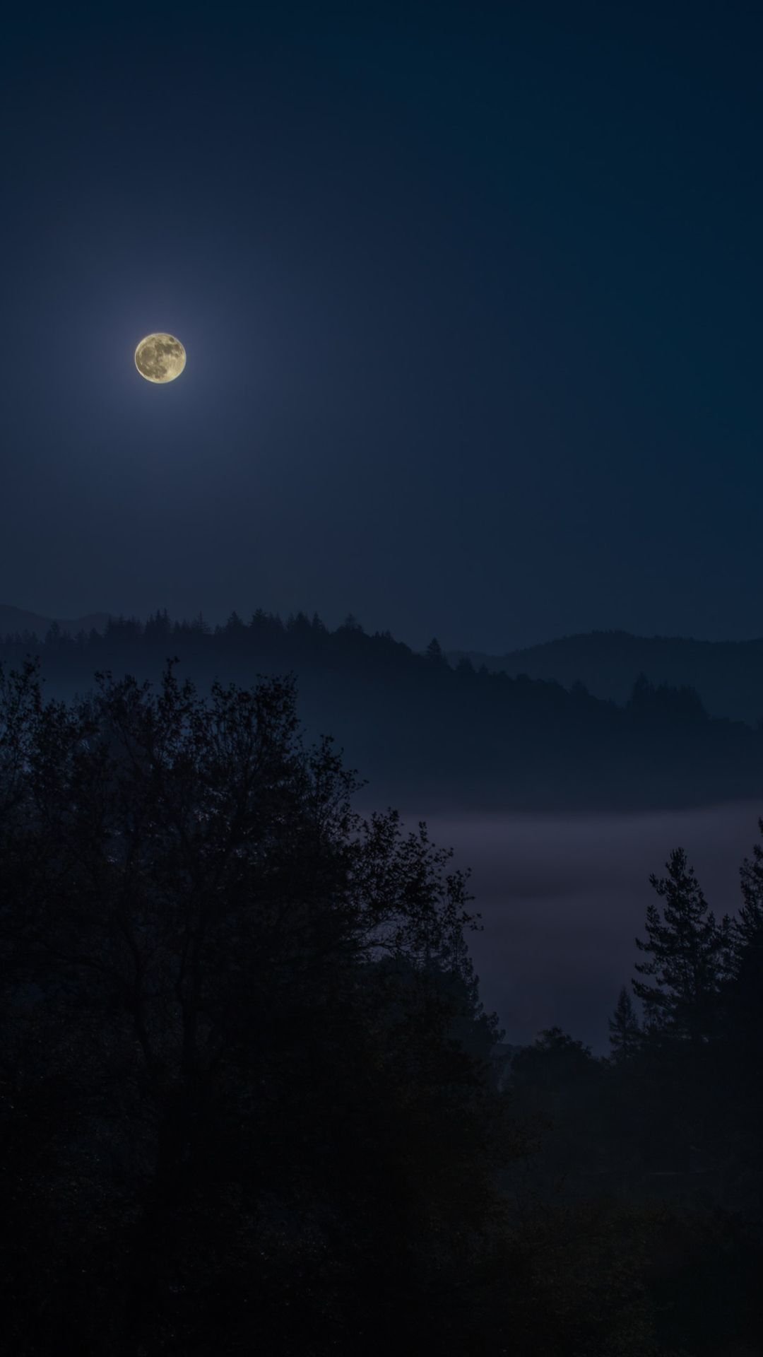 Dark night aesthetic Wallpaper Download