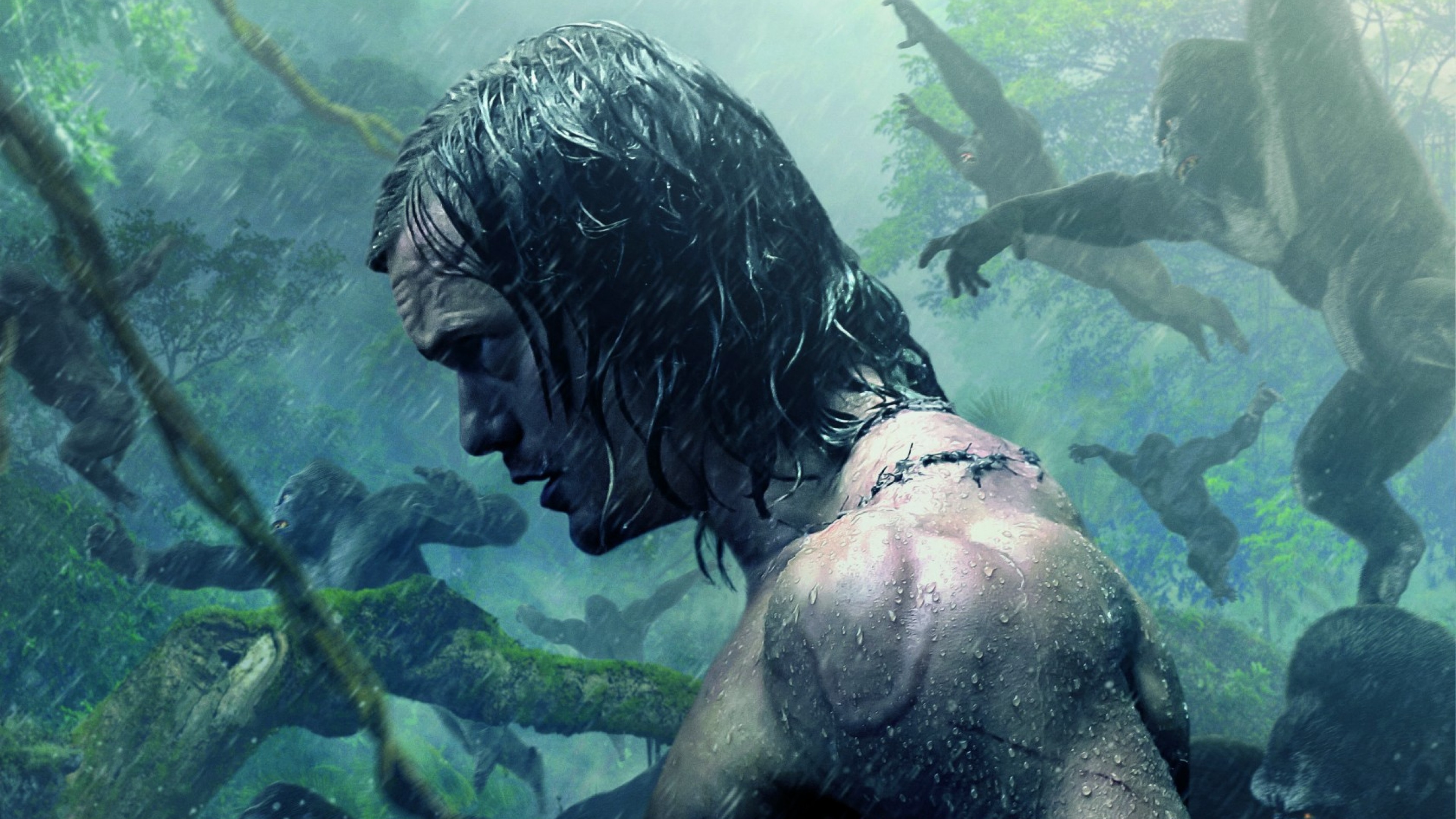 The legend of tarzan HD Wallpaper 4K Ultra HD Wallpaper .net