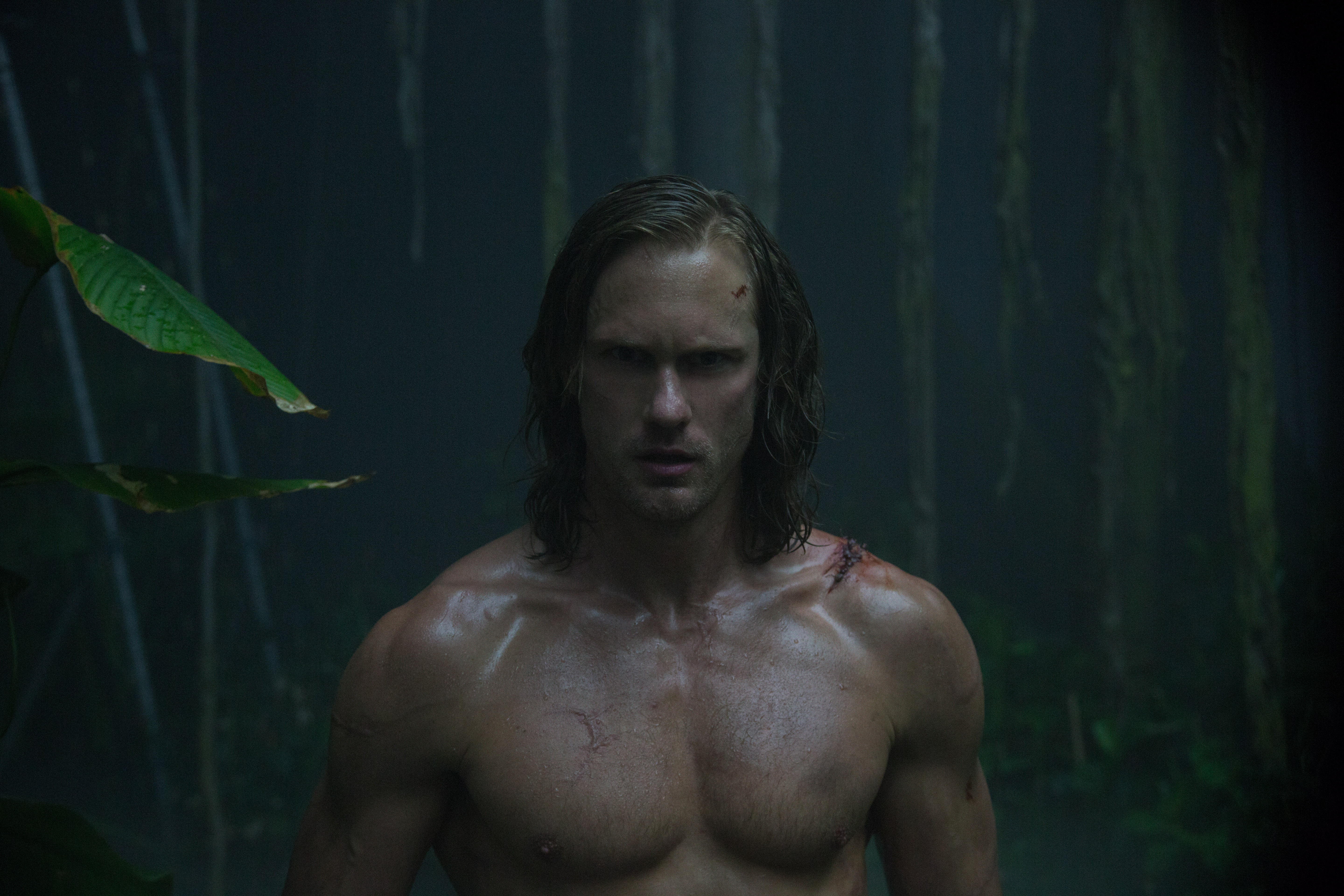 Tarzan HD Wallpaper and Background
