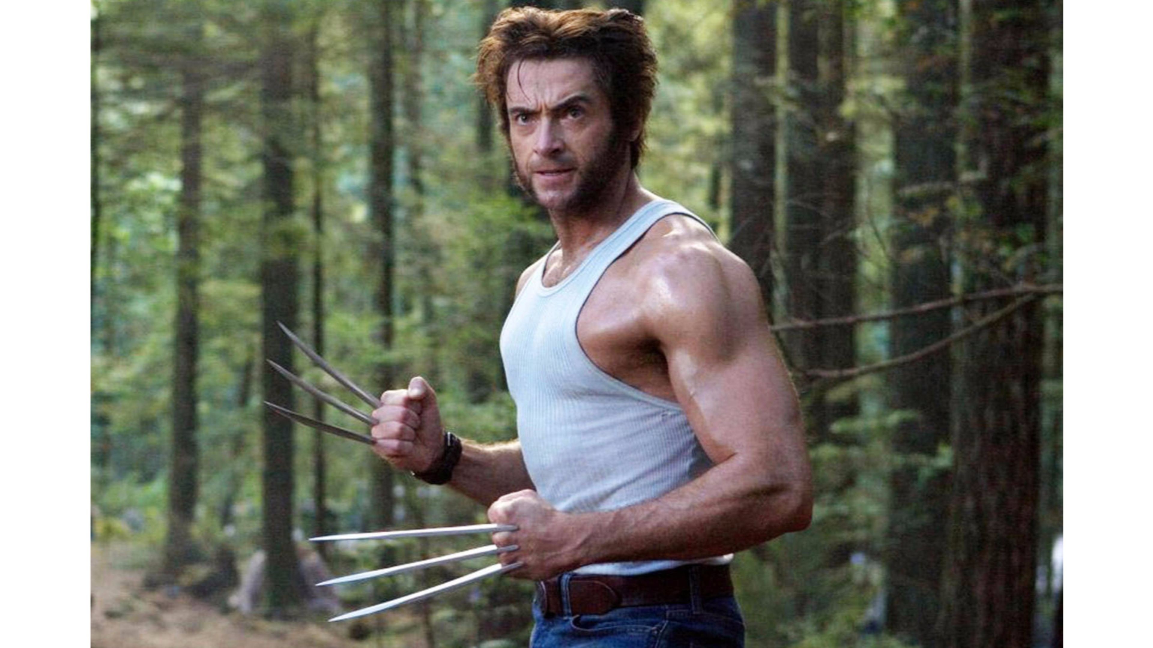 Wolverine Hugh Jackman Wallpaper 2018