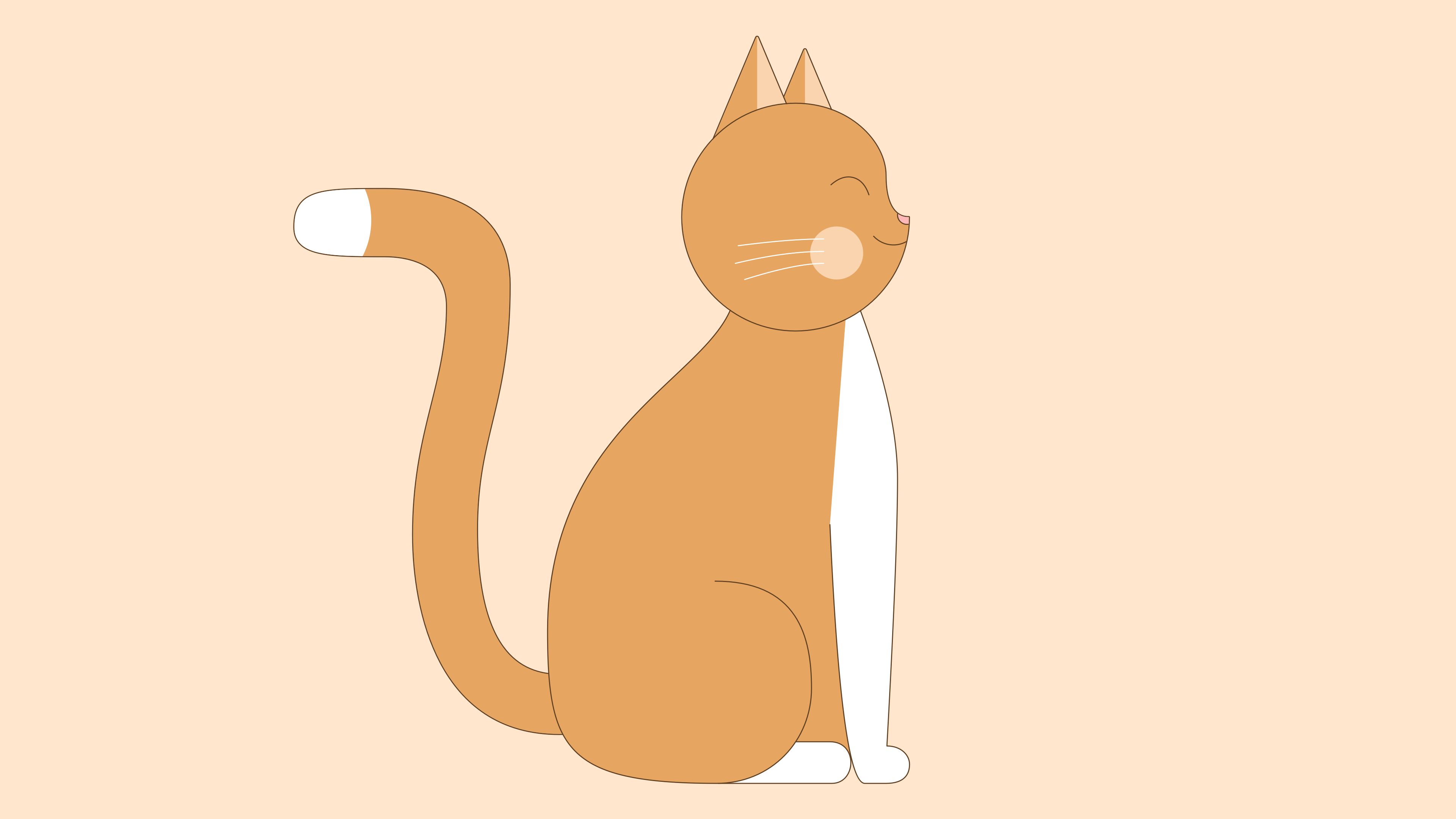 Cat 4K Wallpaper Free Download Like Cats Very Much