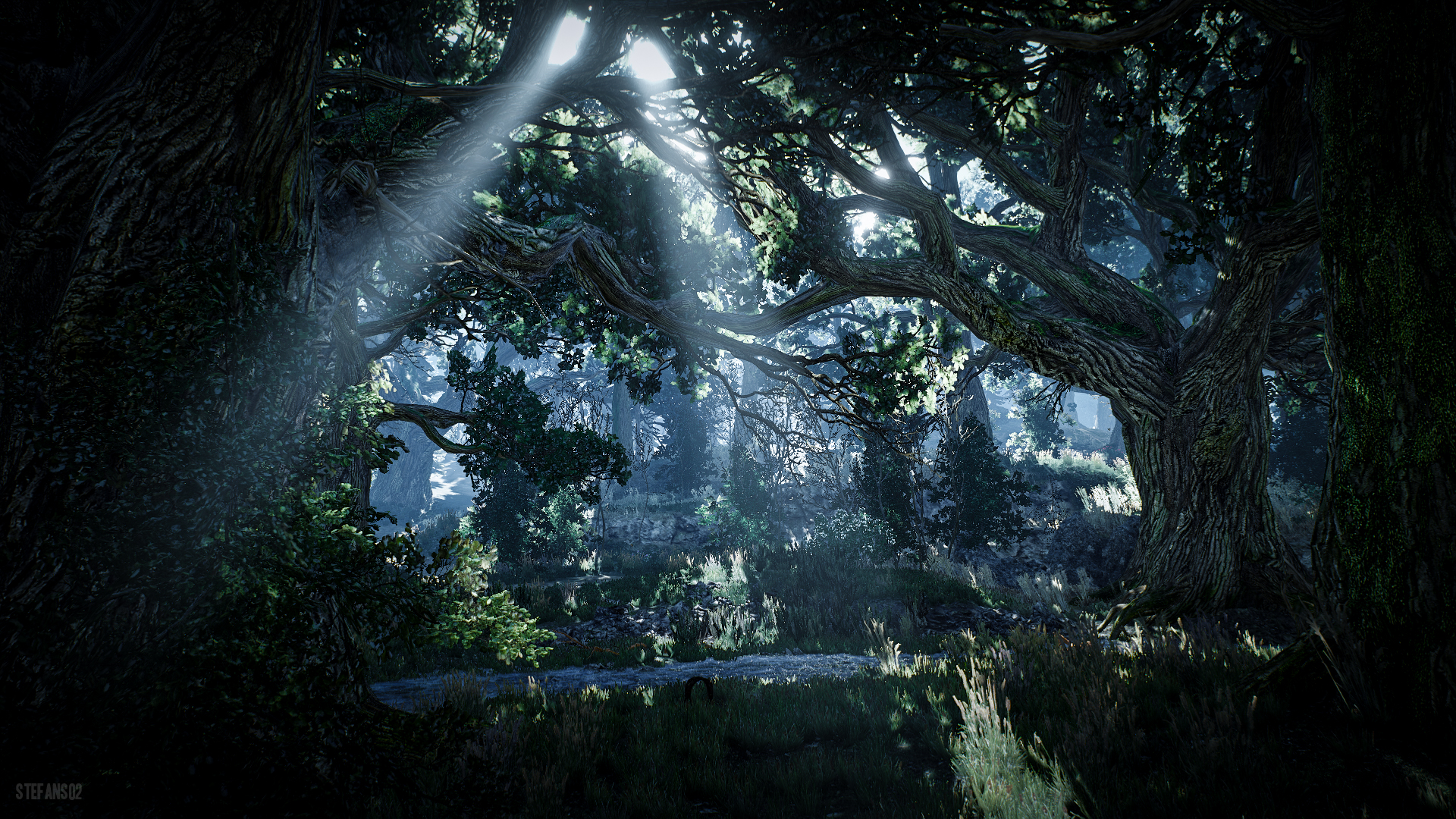 The Witcher 3: Wild Hunt / Skellige Forest