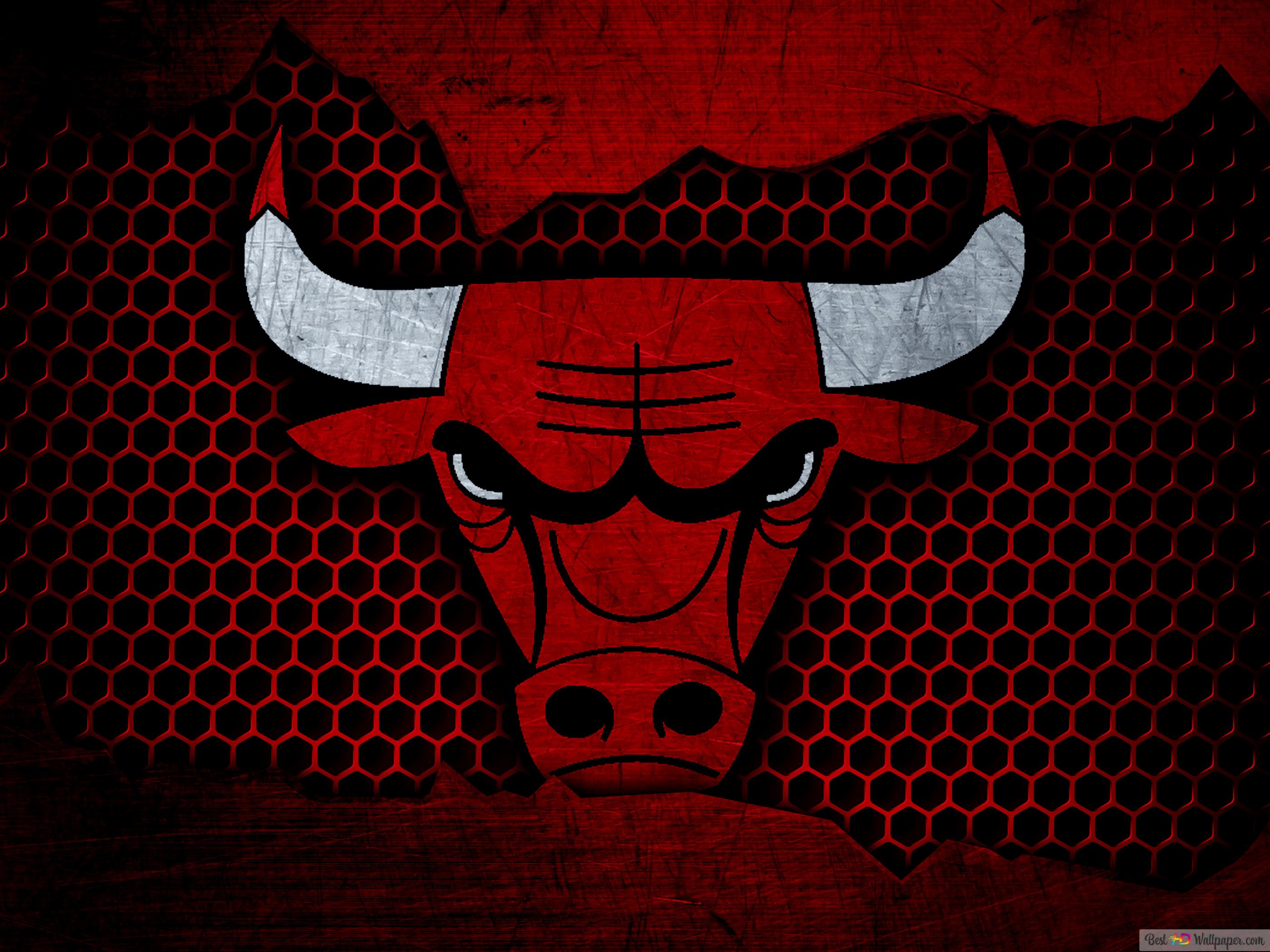 Chicago Bulls (grid) 4K wallpaper download