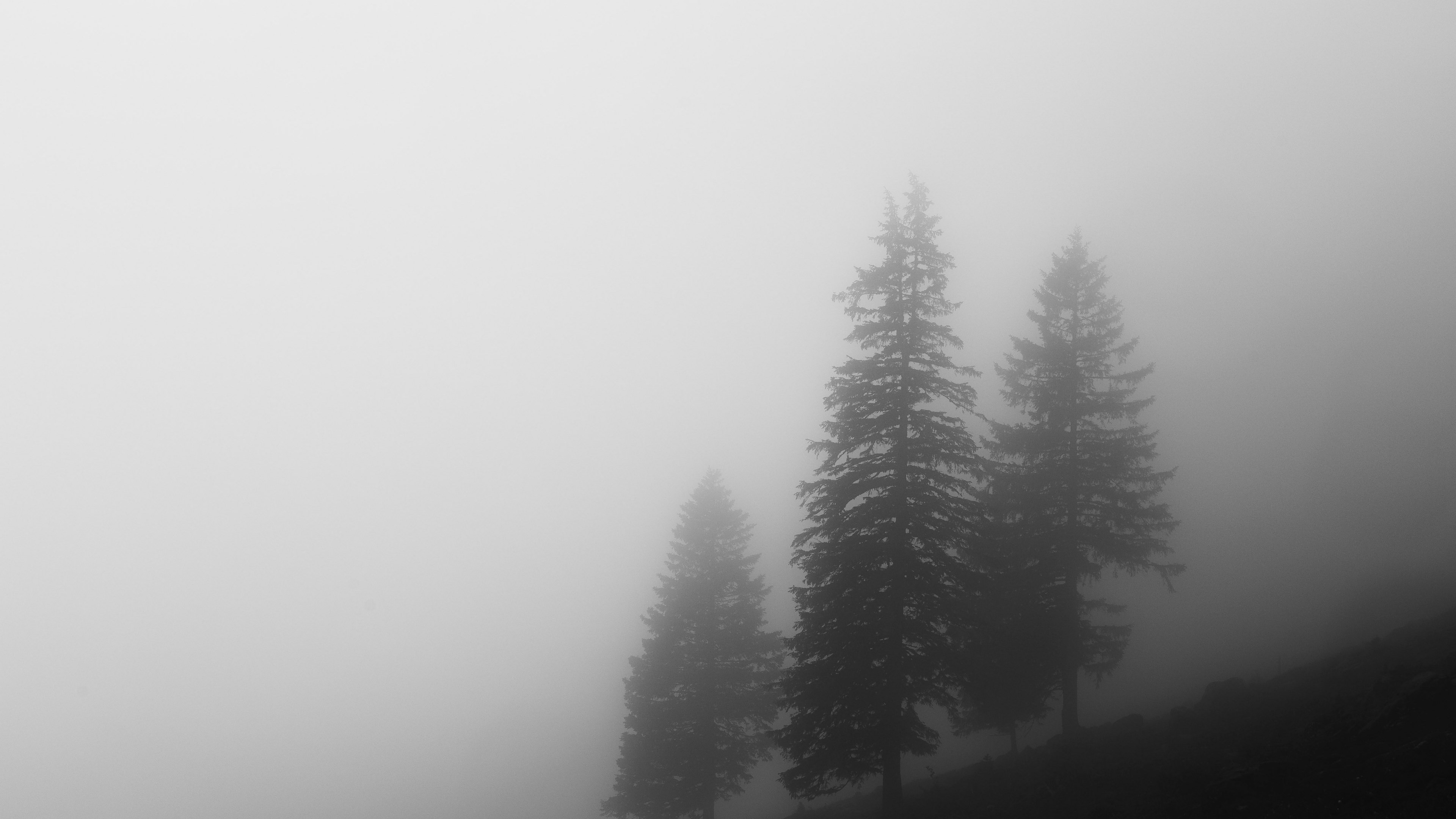 Wallpaper / landscape nature soft and clean HD 4k wallpaper free download