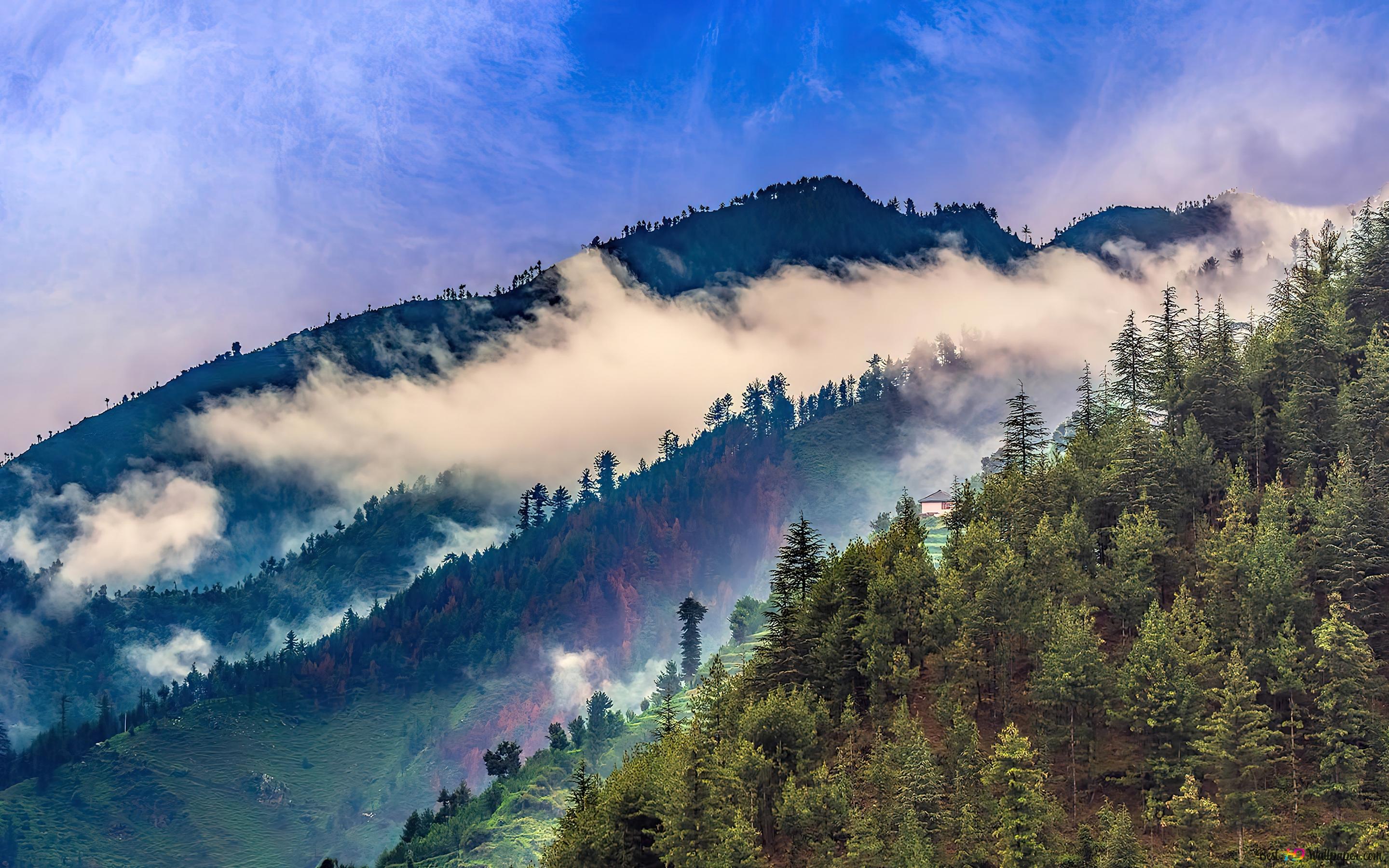 Himalayas Mountain Filled with Cloud Fog 4K wallpaper download