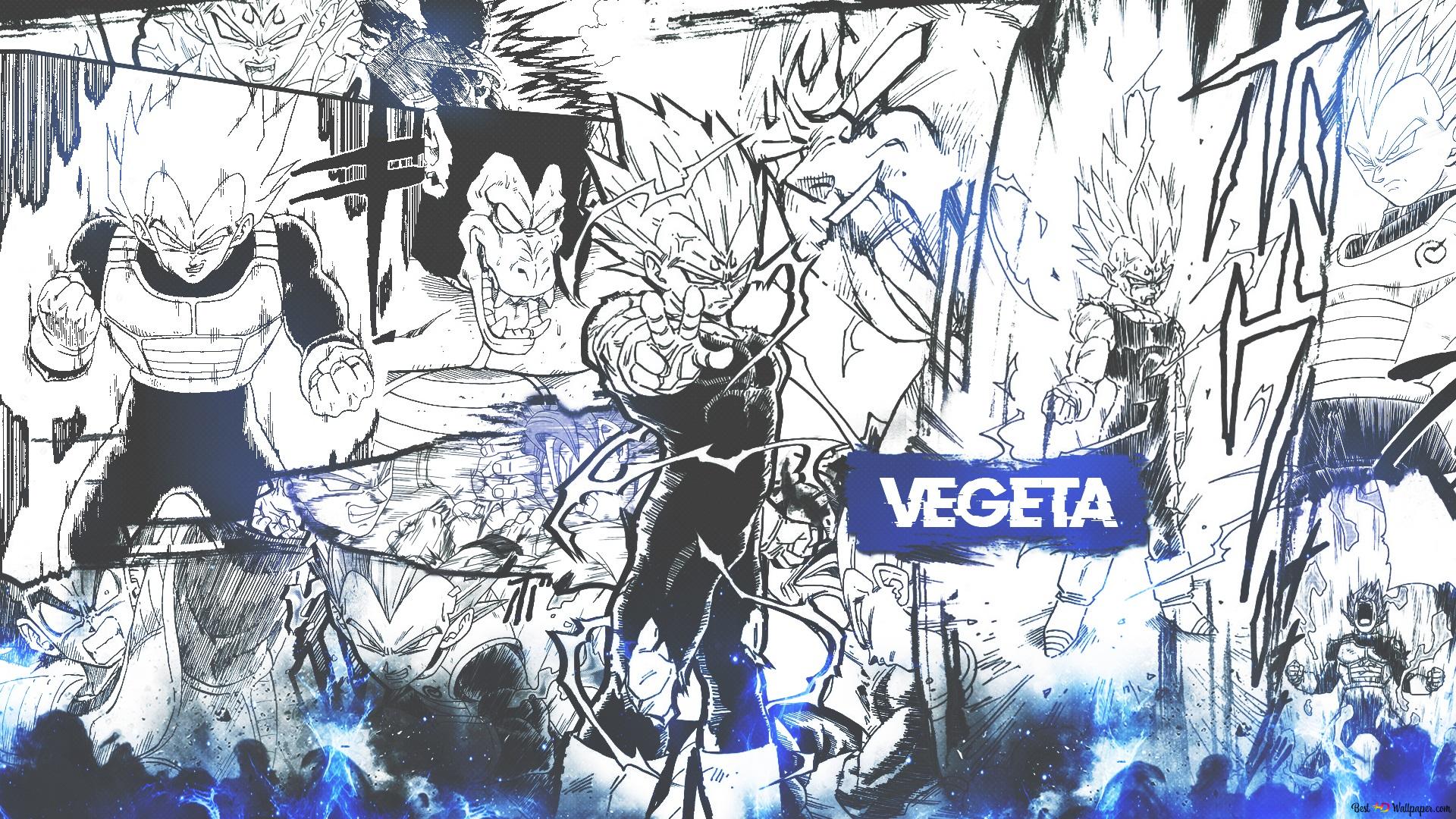 Dragon Ball Z Manga Ver. HD wallpaper download