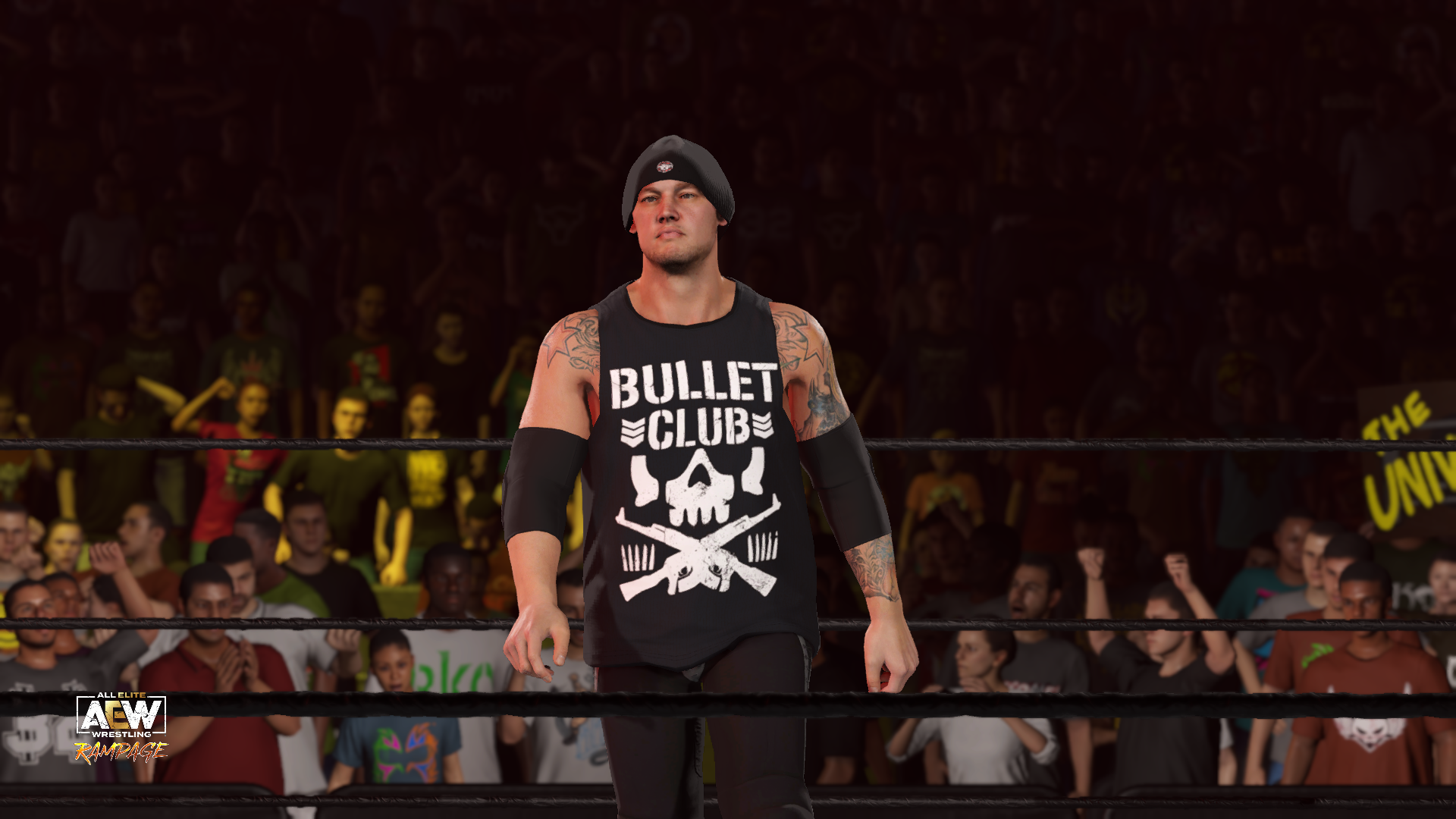 Bullet Club in my alternate AEW universe. Finn Balor, AJ Styles, King Baron Corbin, Akira Tozawa, and Toni Storm. Quite a mix but they are running rampant on my roster
